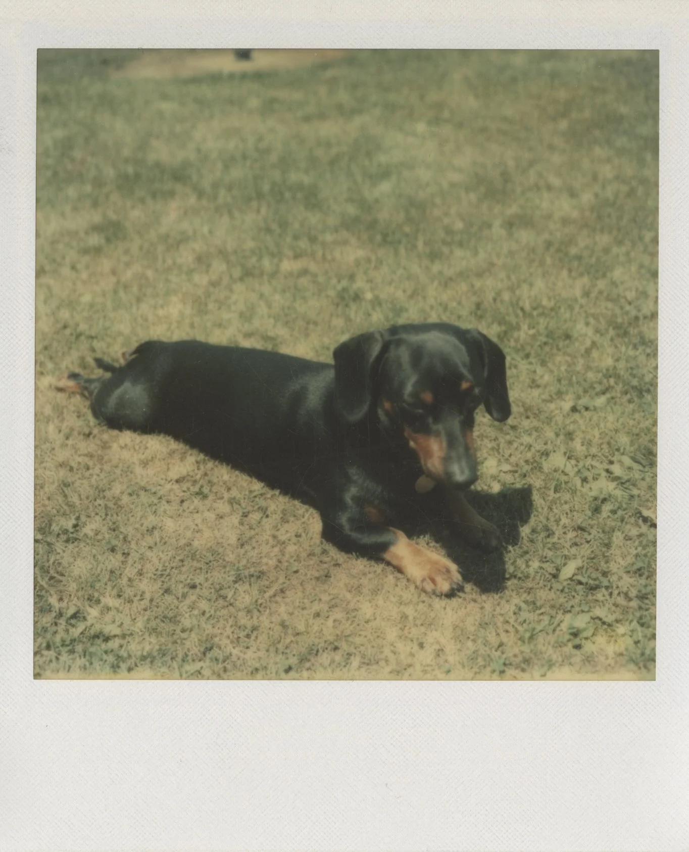 Warhol - 0372