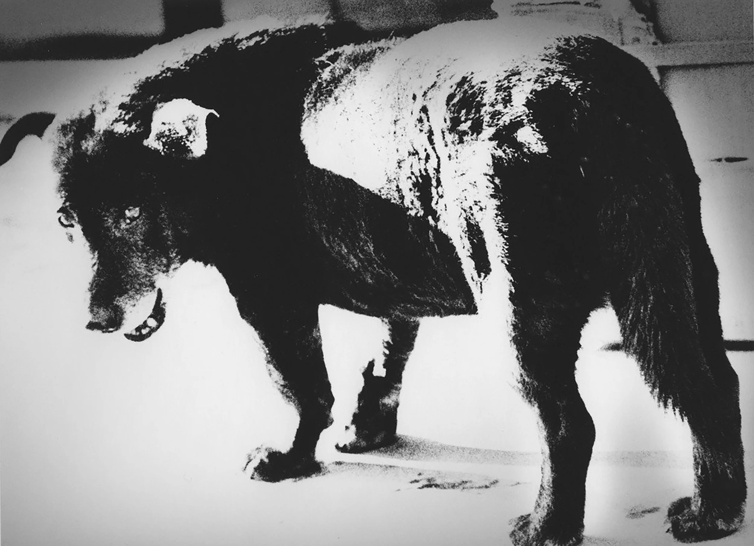 Moriyama - 0911