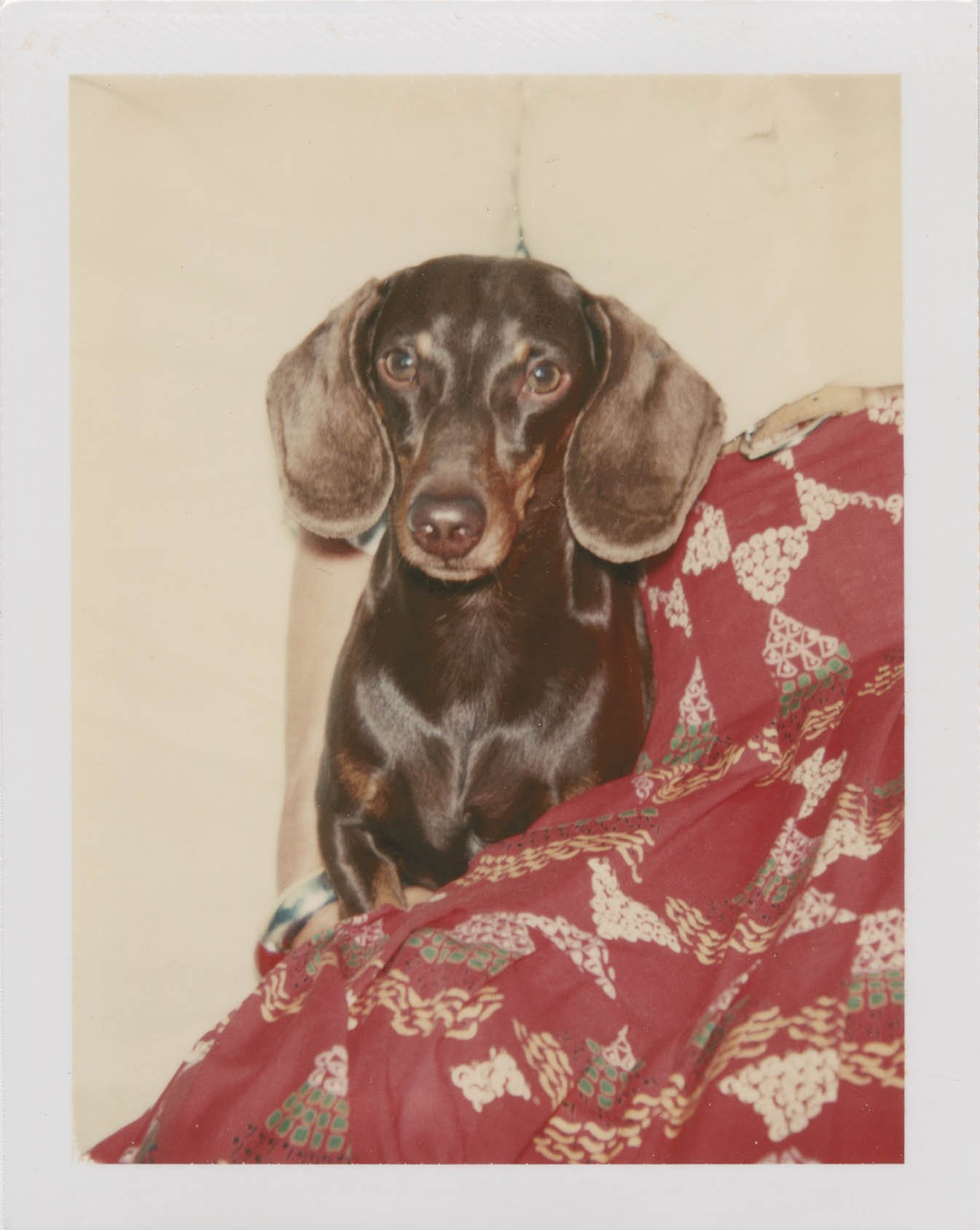Warhol - 0931