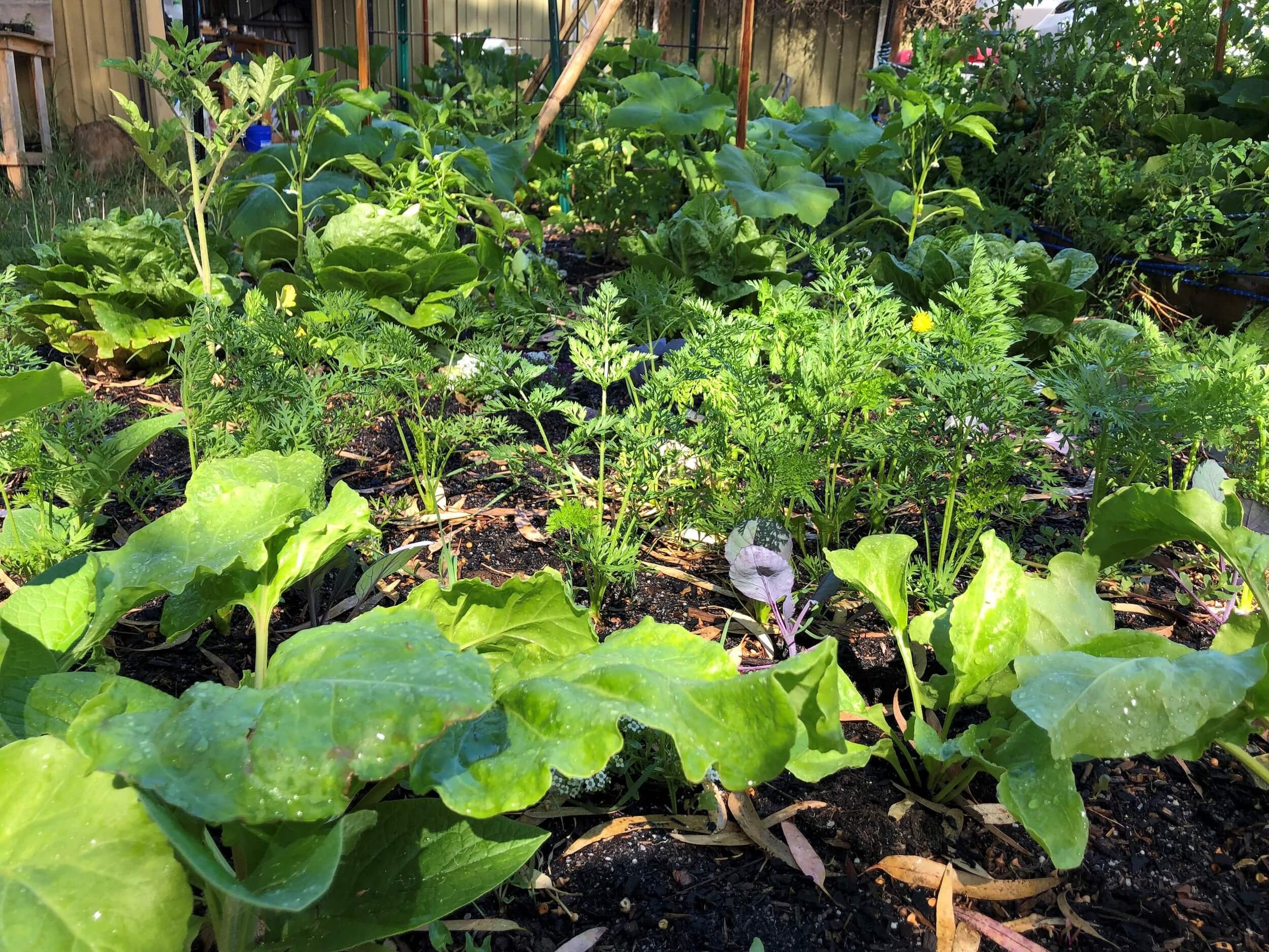 Home page_Full width banner image 3.jpg