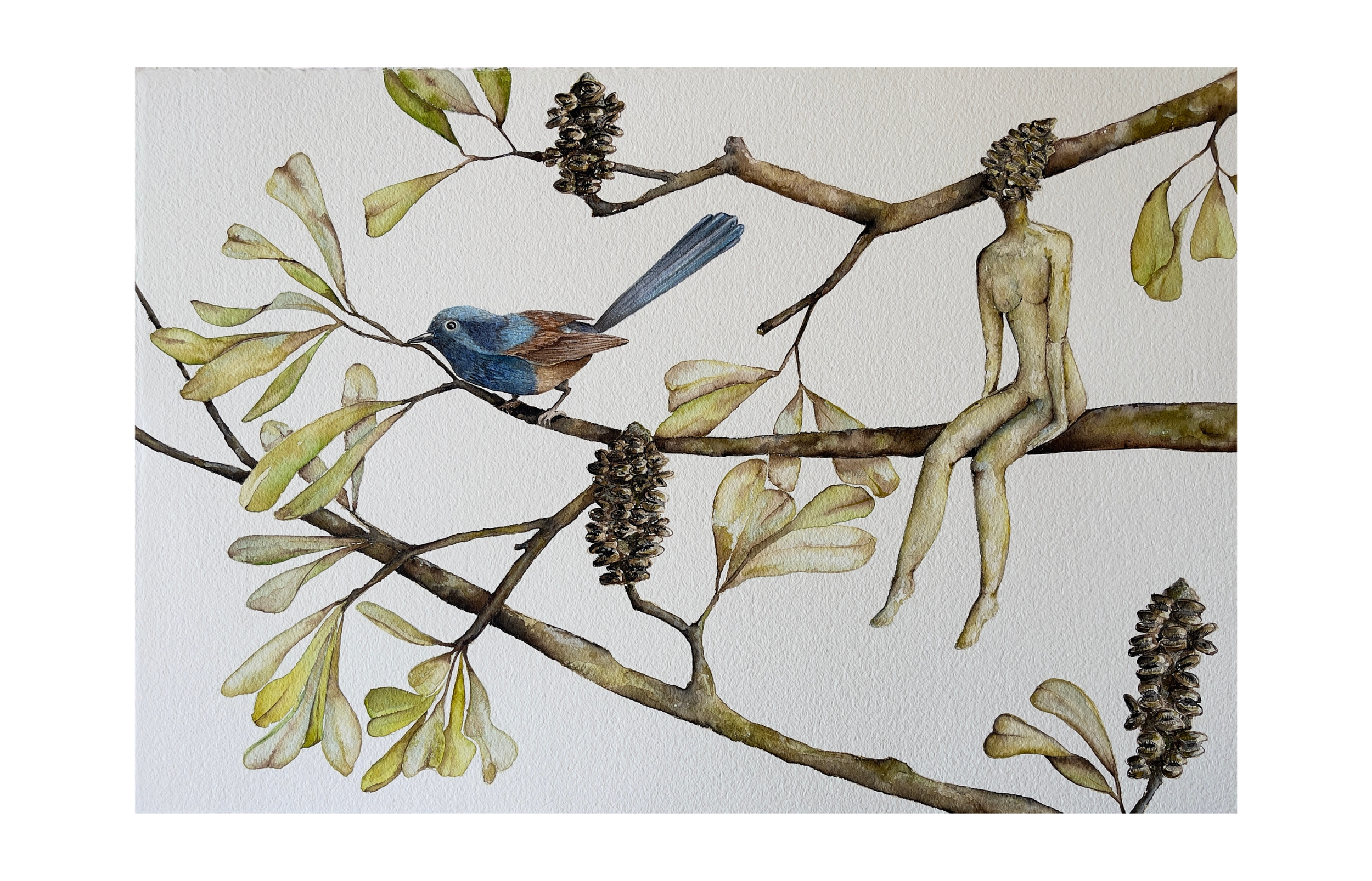 "A Moment to consider"
Watercolour on paper
47cm x 38cm
2025