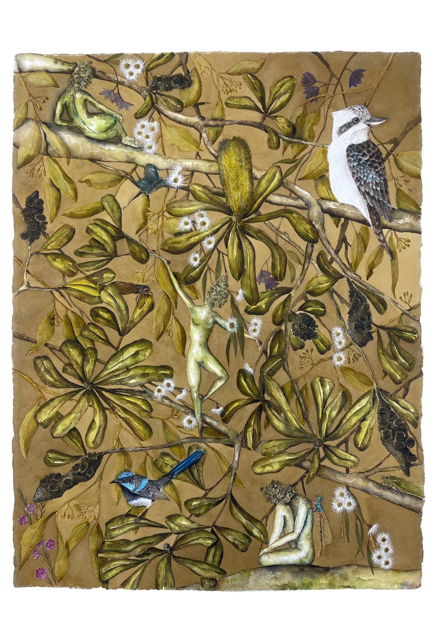 Looking Closer 
Watercolour on paper
70 x 90 cm 
2025 