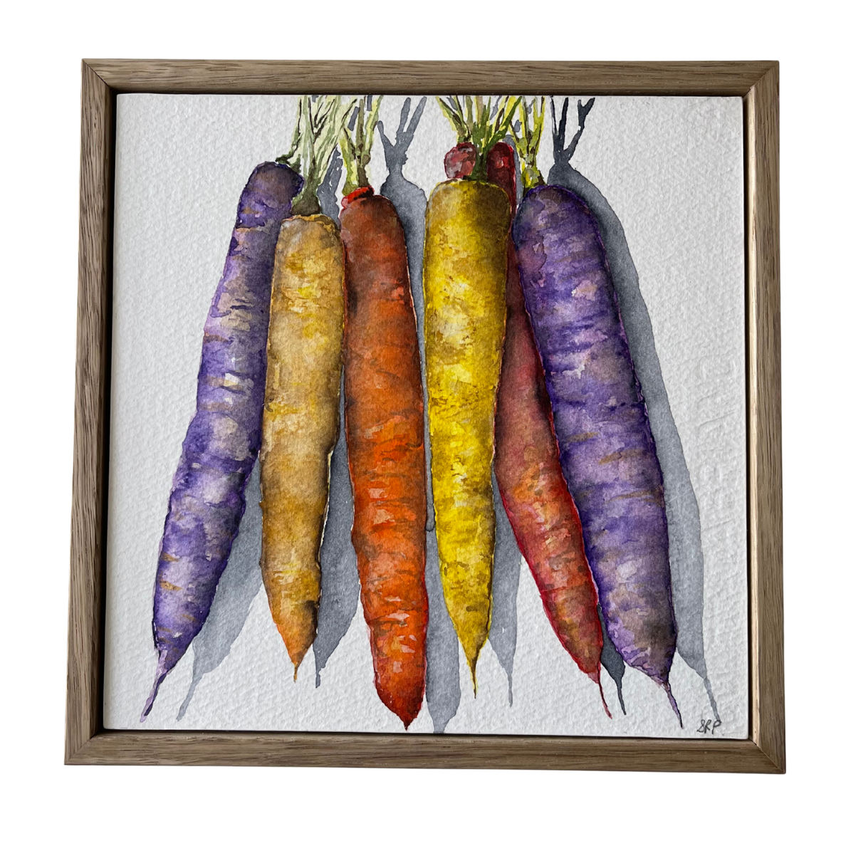 Morning haul 
Watercolour on paper 
20cm x 20cm 
2025 