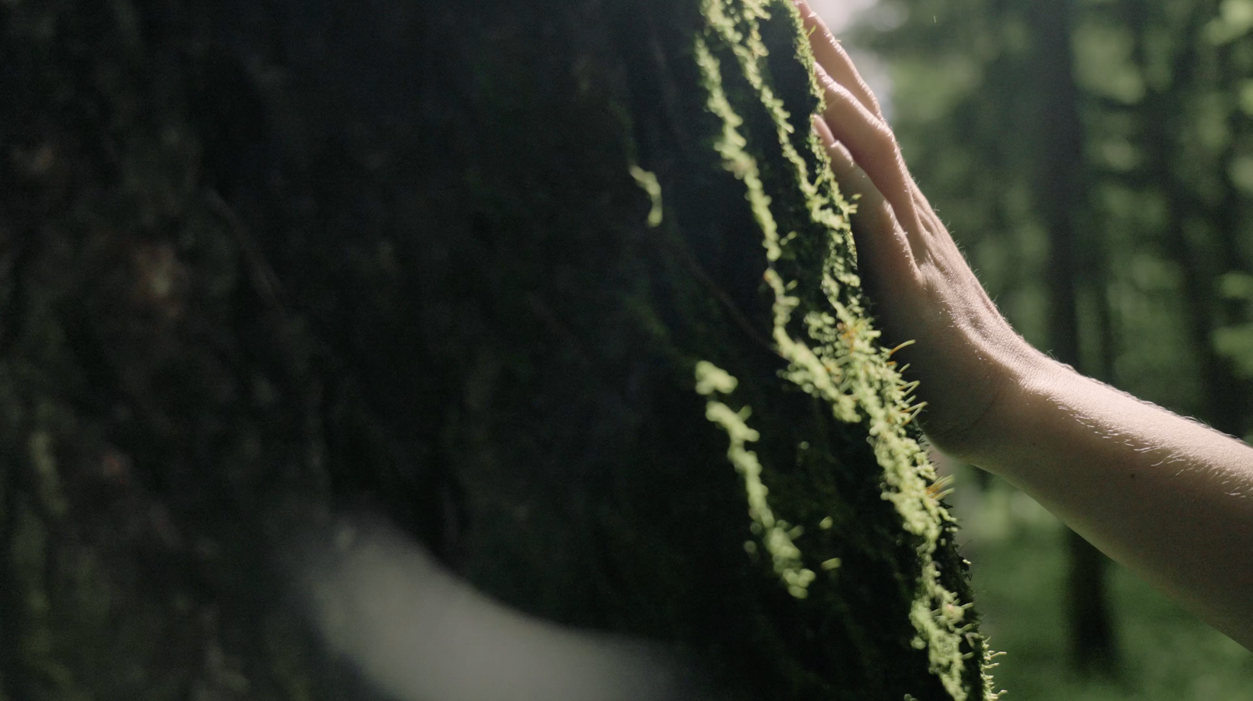 Screenshot 2025-06-03 at 12.43.23 PM.png