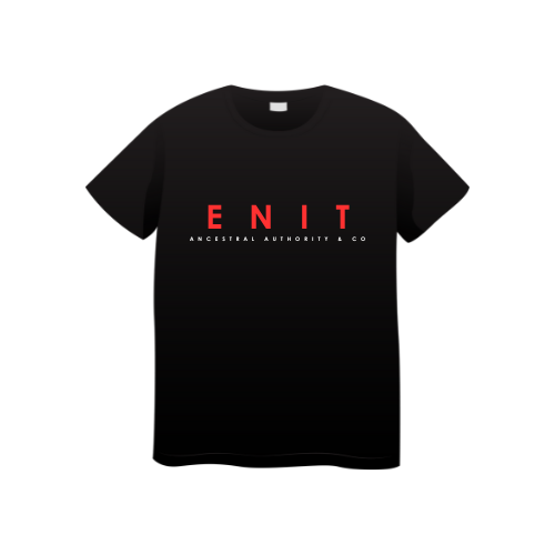 ENIT T-Shirt.png