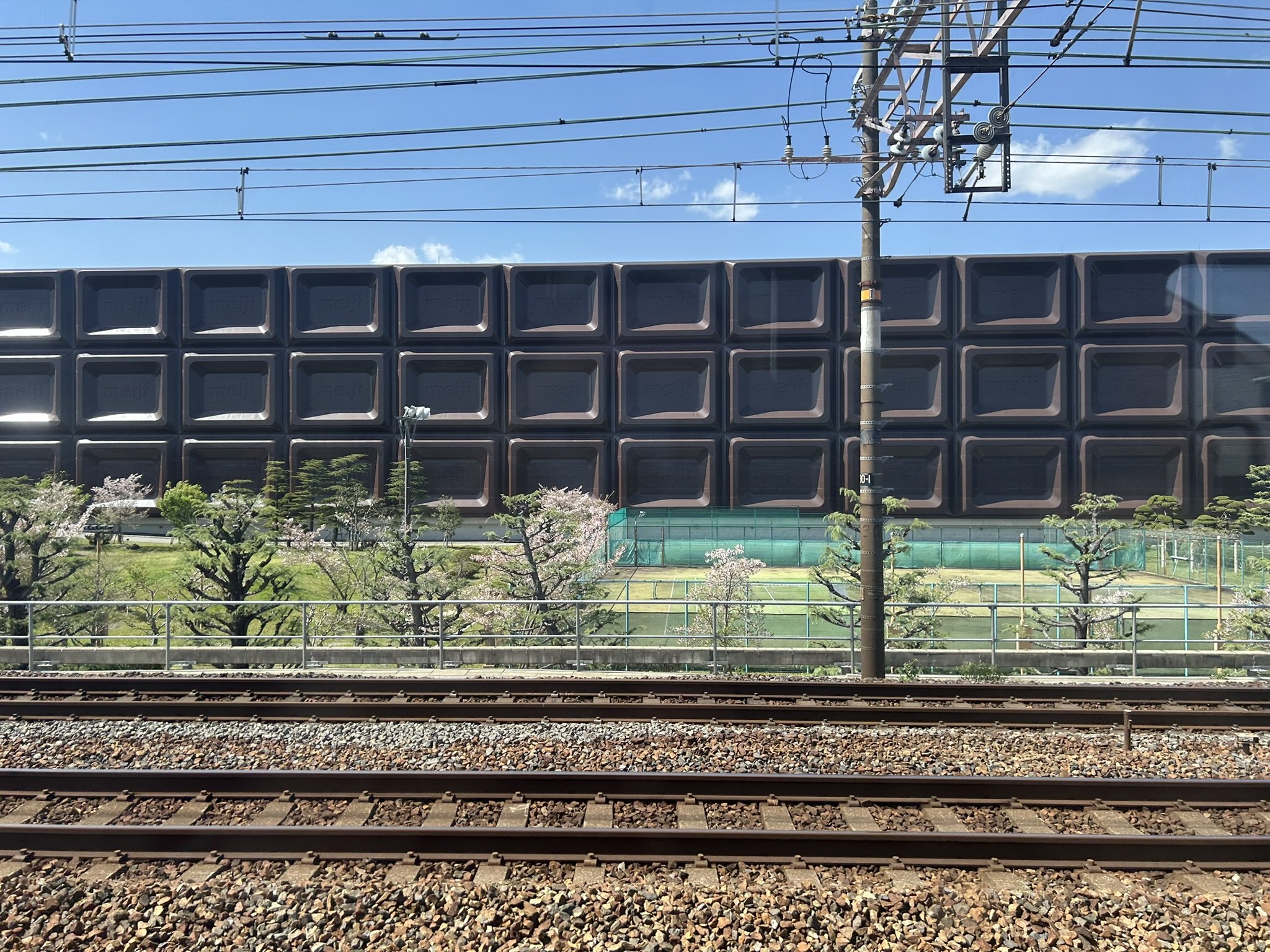 IMG_8221.JPEG