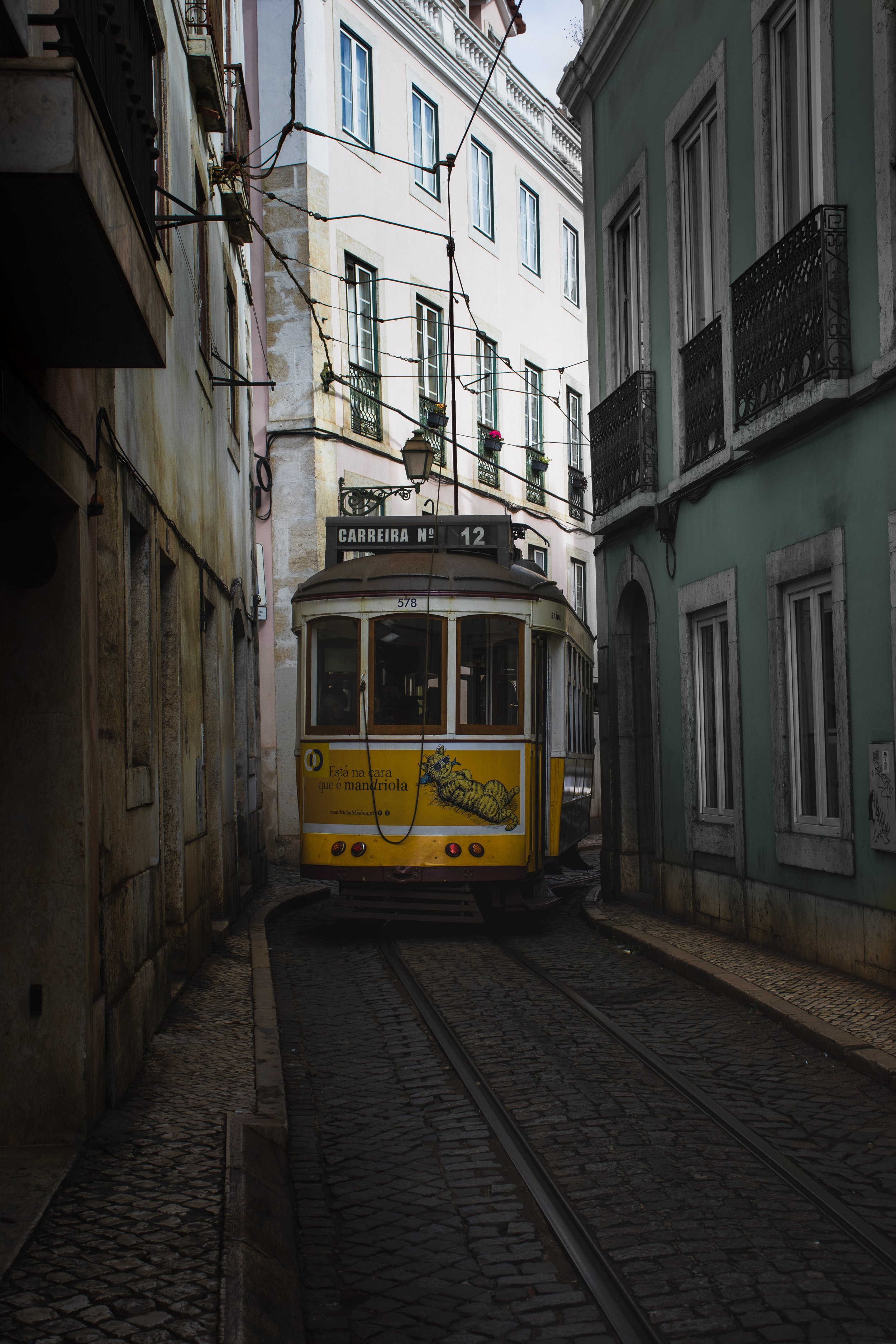 Cool Cat Tram – Lisbon