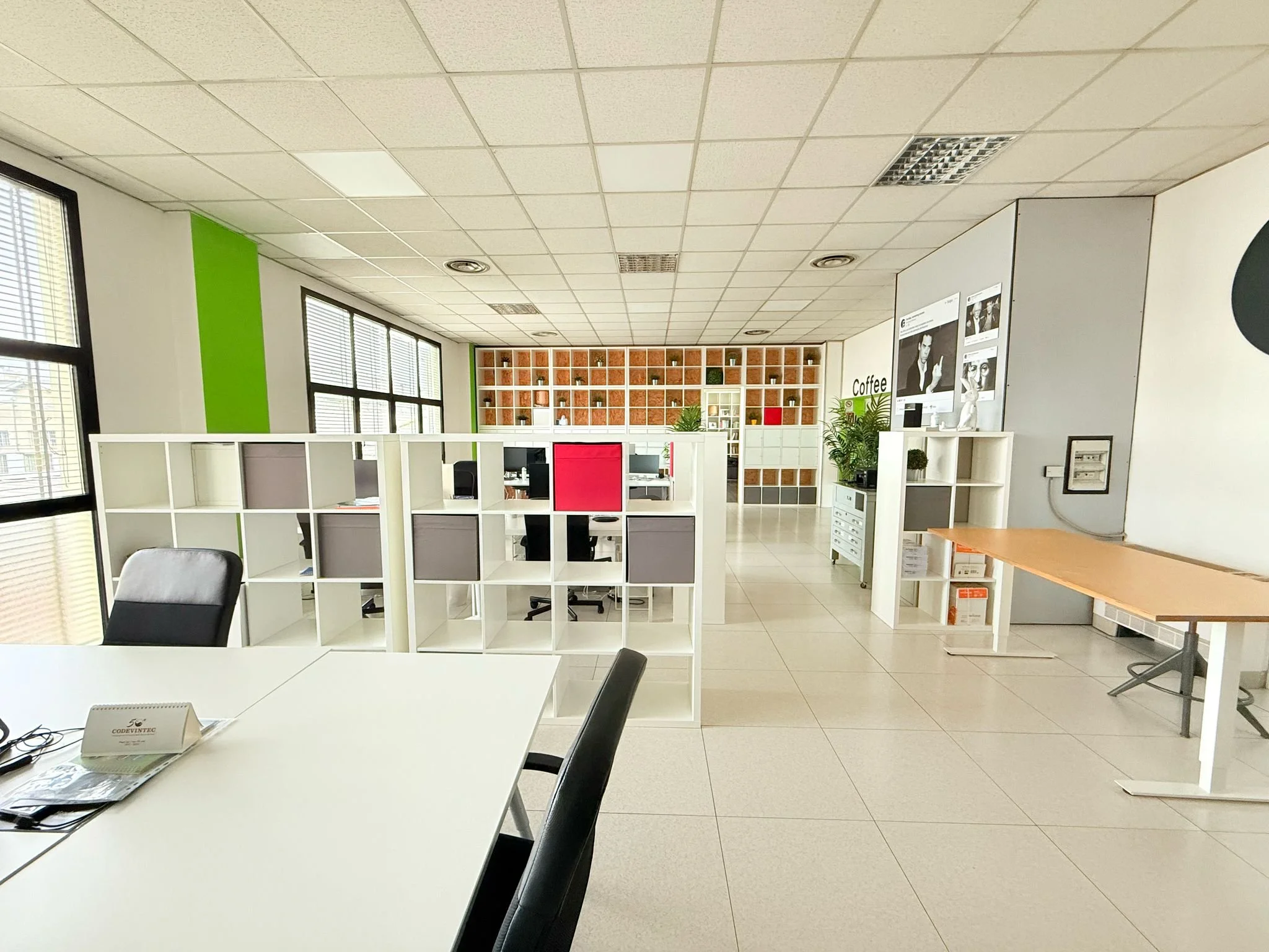 Ufficio moderno con scrivanie, sedie nere, scaffalature bianche, pareti bianche con dettagli verdi, pareti in vetro con tapparelle, pareti decorate con poster e piante.