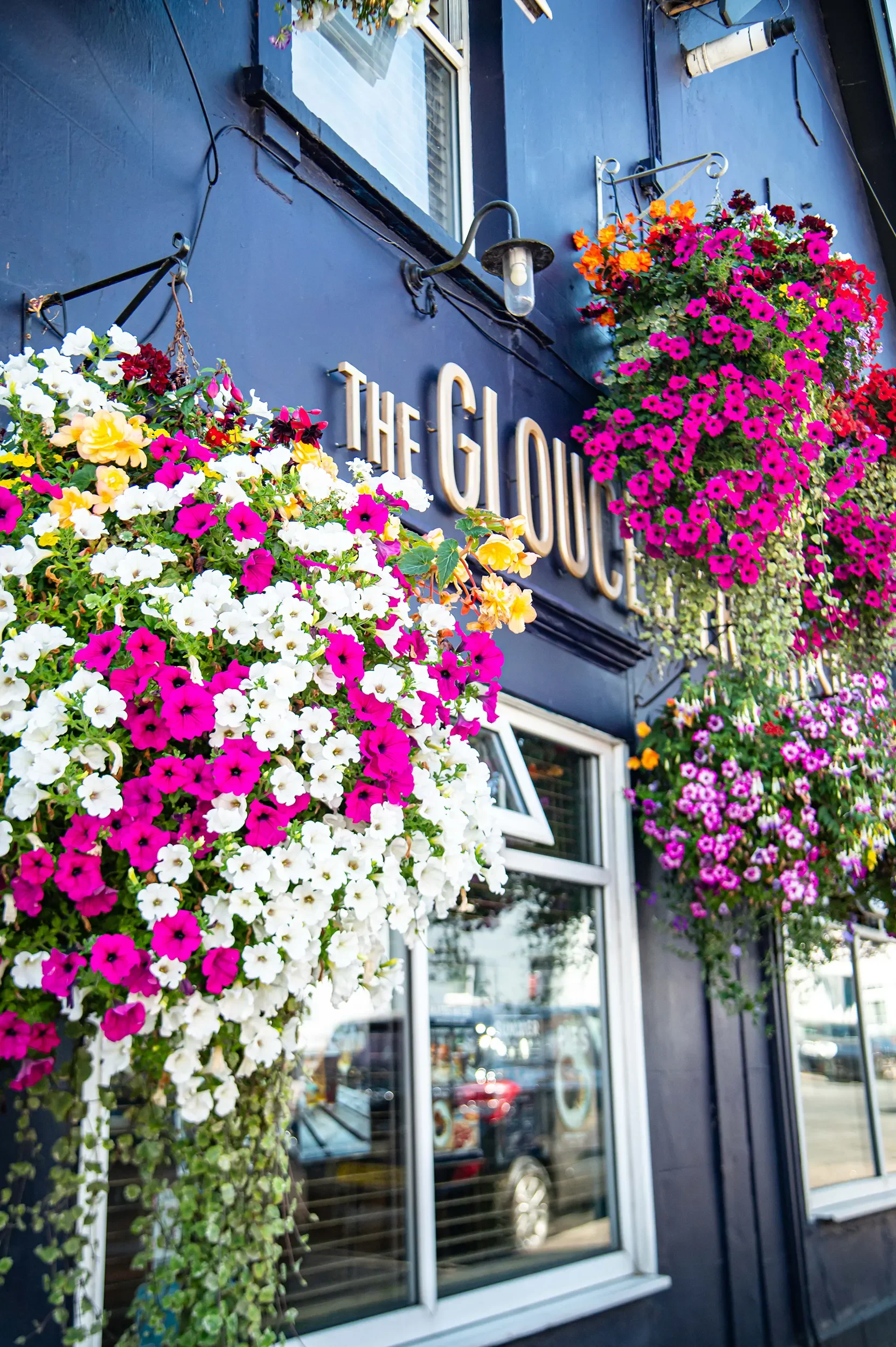 Exterior storefront of The Gloucester Old Spot pub in Bristol, featuring a dark blue painted wall decorated with large, colorful hanging flower baskets.