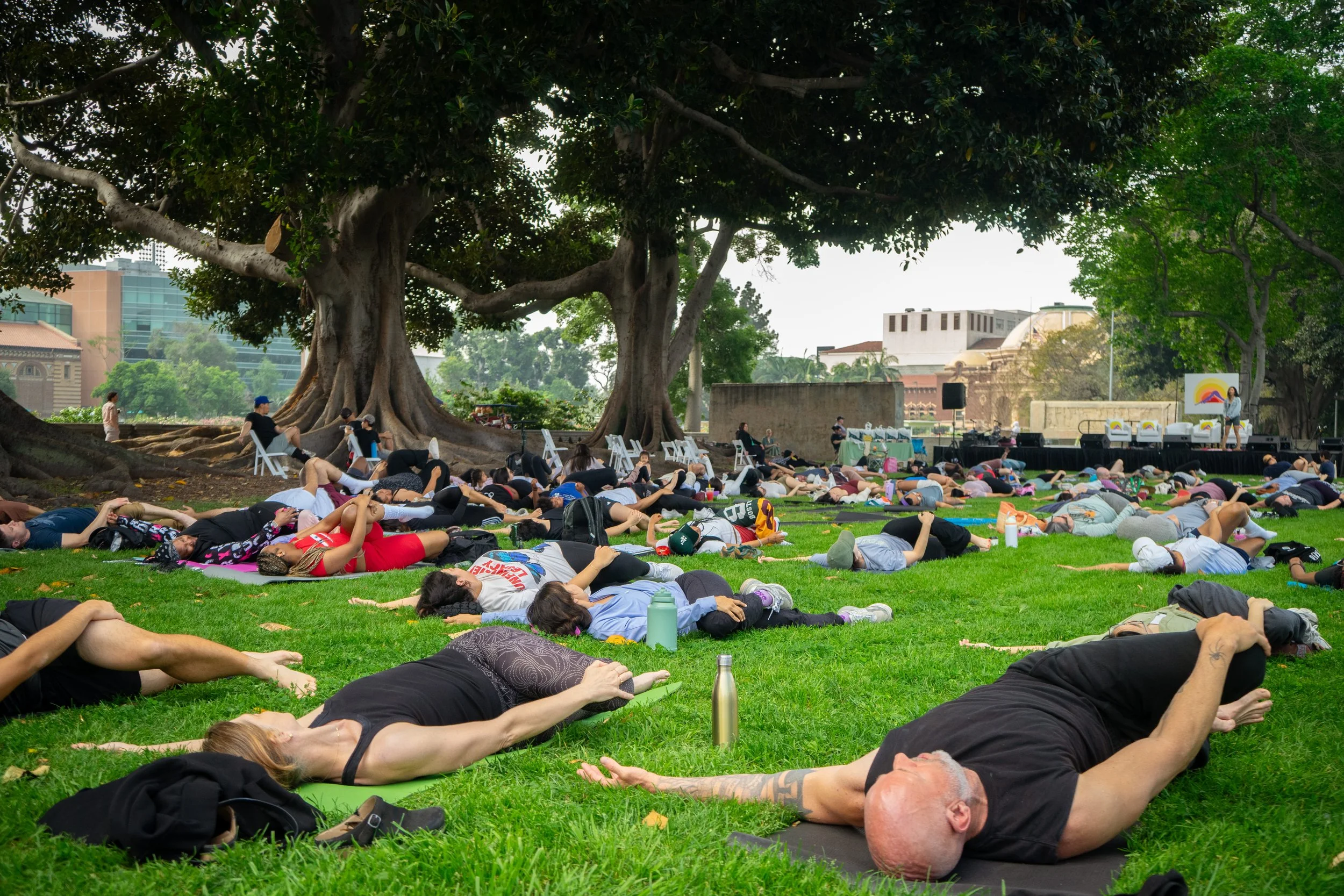 large california wellness festival.jpg