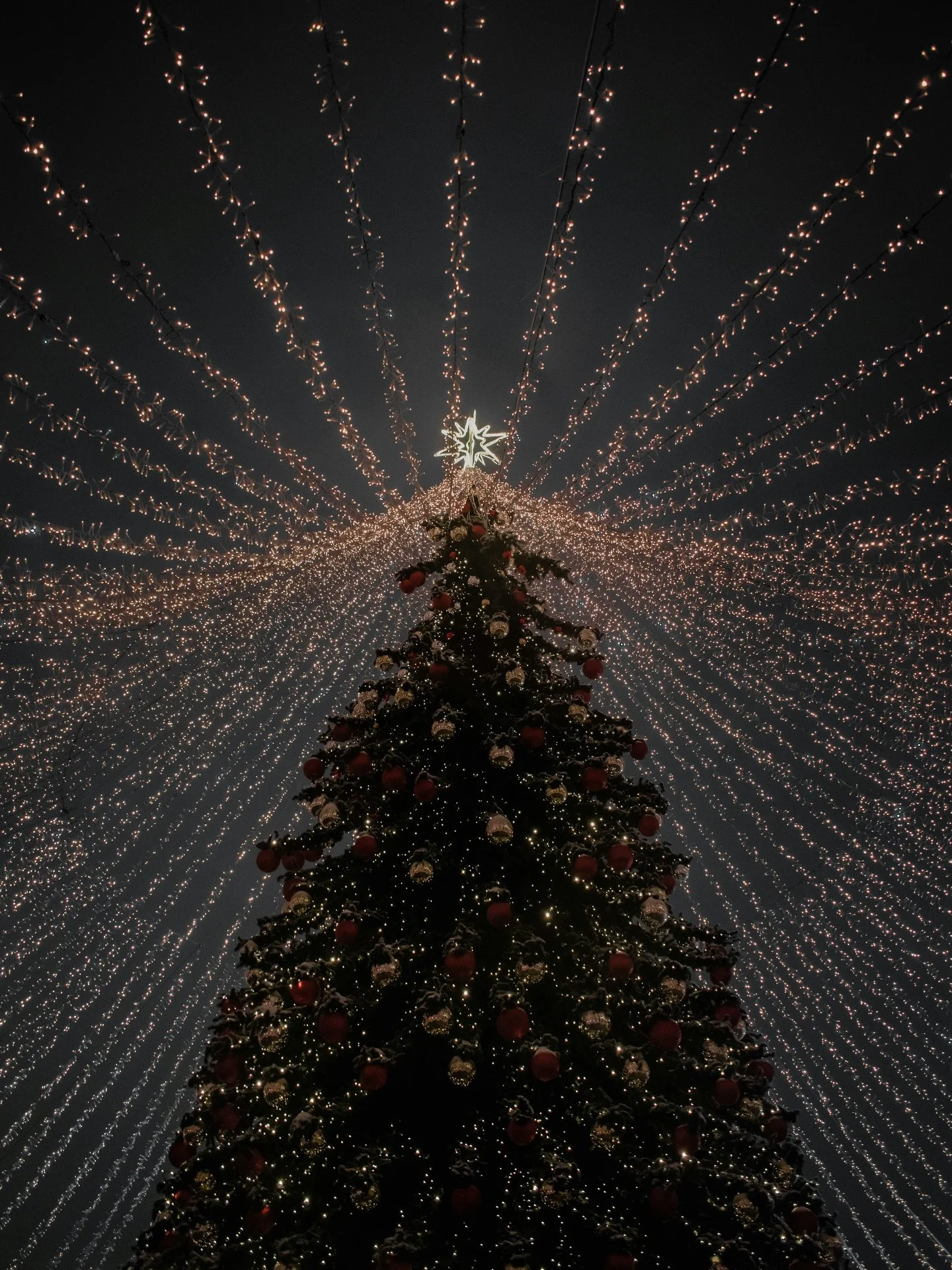 En cette p&eacute;riode de f&ecirc;tes, le temps ralentit et l&rsquo;essentiel reprend sa place.
Nous vous souhaitons un No&euml;l tout en douceur, entour&eacute; de lumi&egrave;re, de s&eacute;r&eacute;nit&eacute; et d&rsquo;instants pr&eacute;cieux