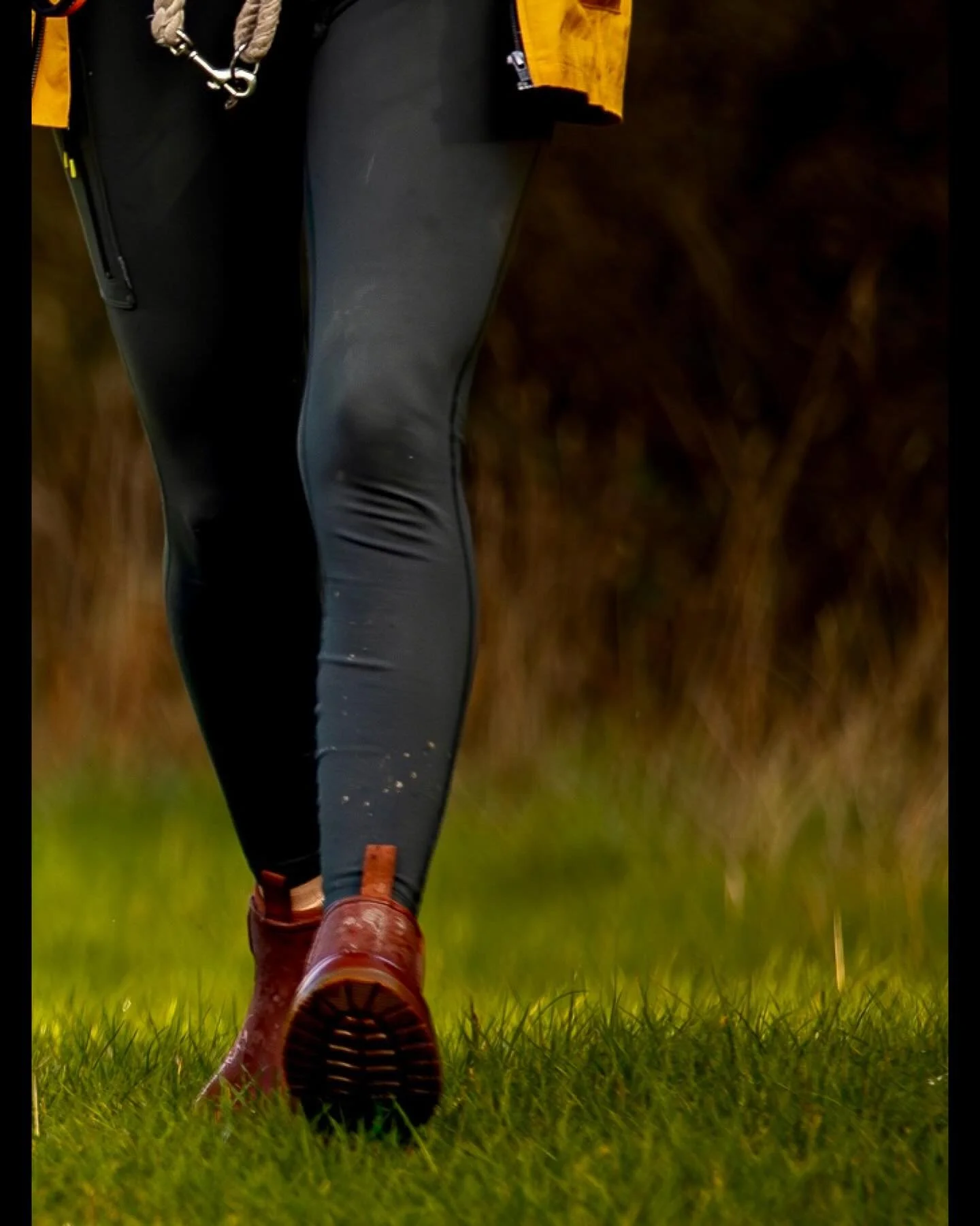 Walks with Lyla (pic 3 of 3)

The gentle Lyla keeping a close eye on Zoe for treats during a recent @clevedondogsquad walk.

#clevedon #clevedondogsquad #clevedondogsquadphotography #dophotography #petphotography #animalphotography #dogwalkersofinsta