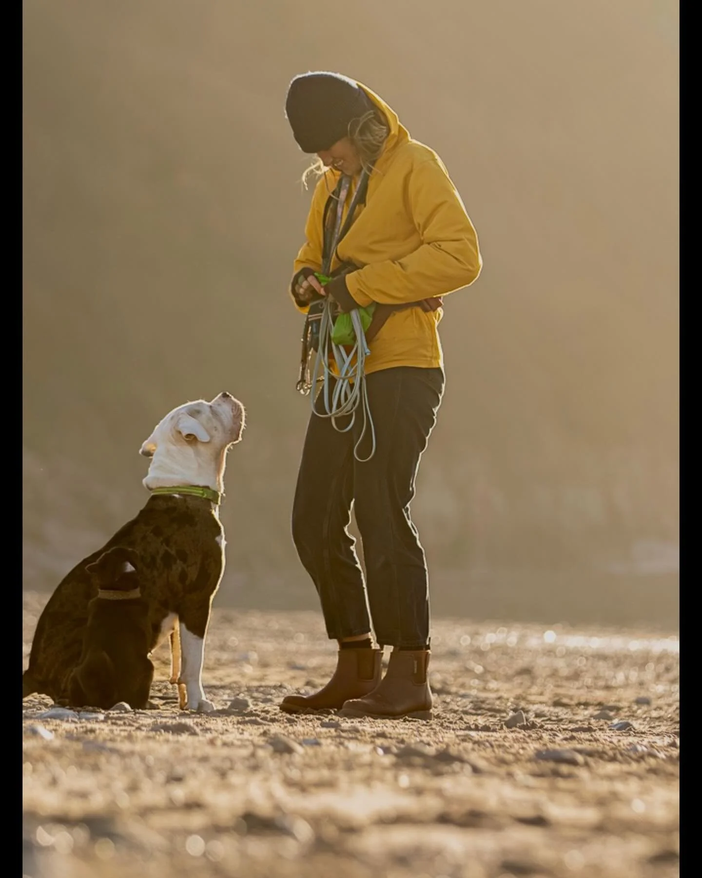 Golden hour beach walks (pic 2 of 3) - full image on main profile.

Gorgeous light for this afternoons beach walk with @clevedondogsquad_photography @murphy_the_goodest_boi_  and friends&hellip;

#clevedon #clevedondogsquad #clevedondogsquadphotograp