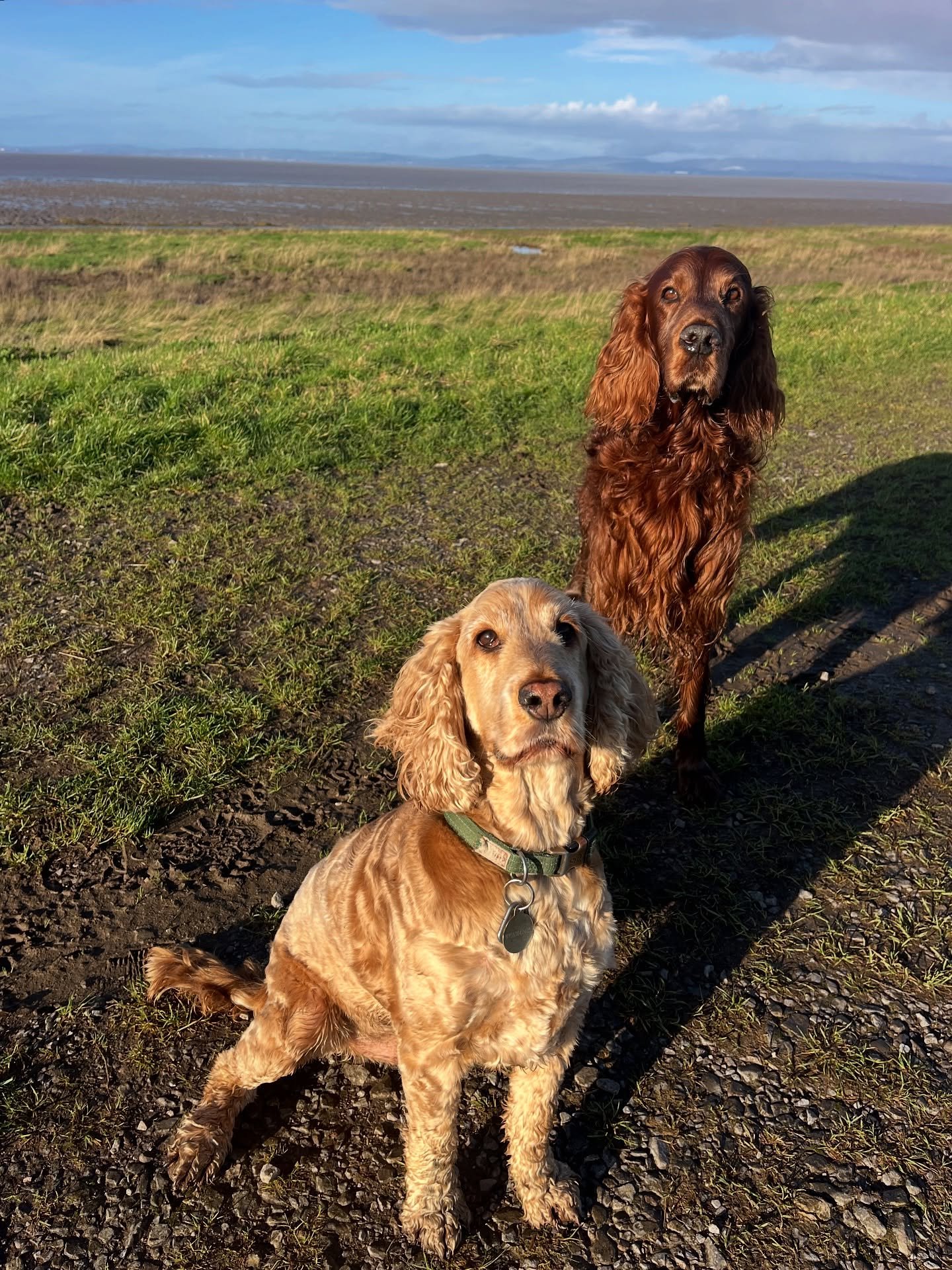 S A T U R D A Y 🌈 
#clevedondogsquad