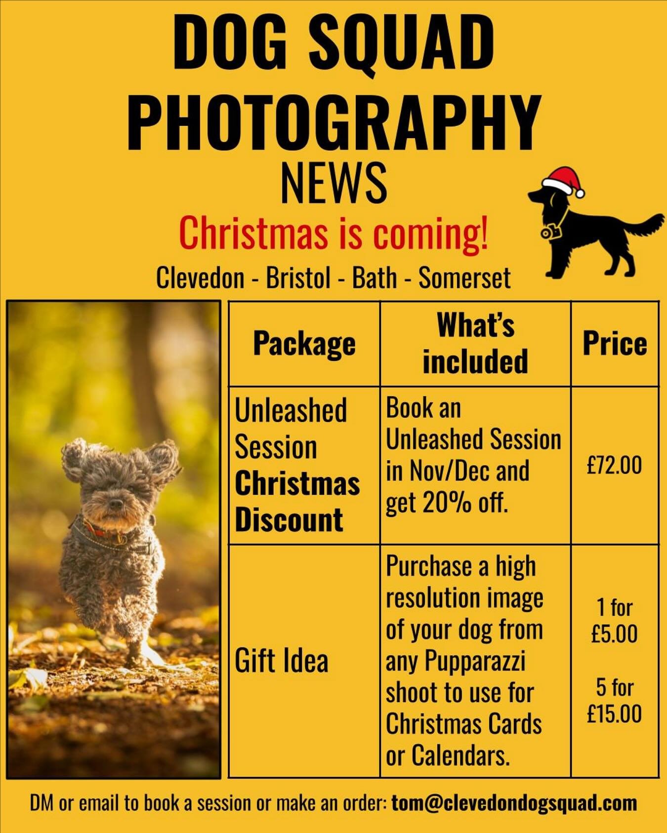 🎄DOG SQUAD PHOTOGRAPHY NEWS
✨Christmas is coming!

Book your Unleashed Session in November or December and get 20% off your shoot. 

Or choose a Pupparazzi image from your dog&rsquo;s walk to use on Christmas Cards, calendars or prints. 

Limited sl