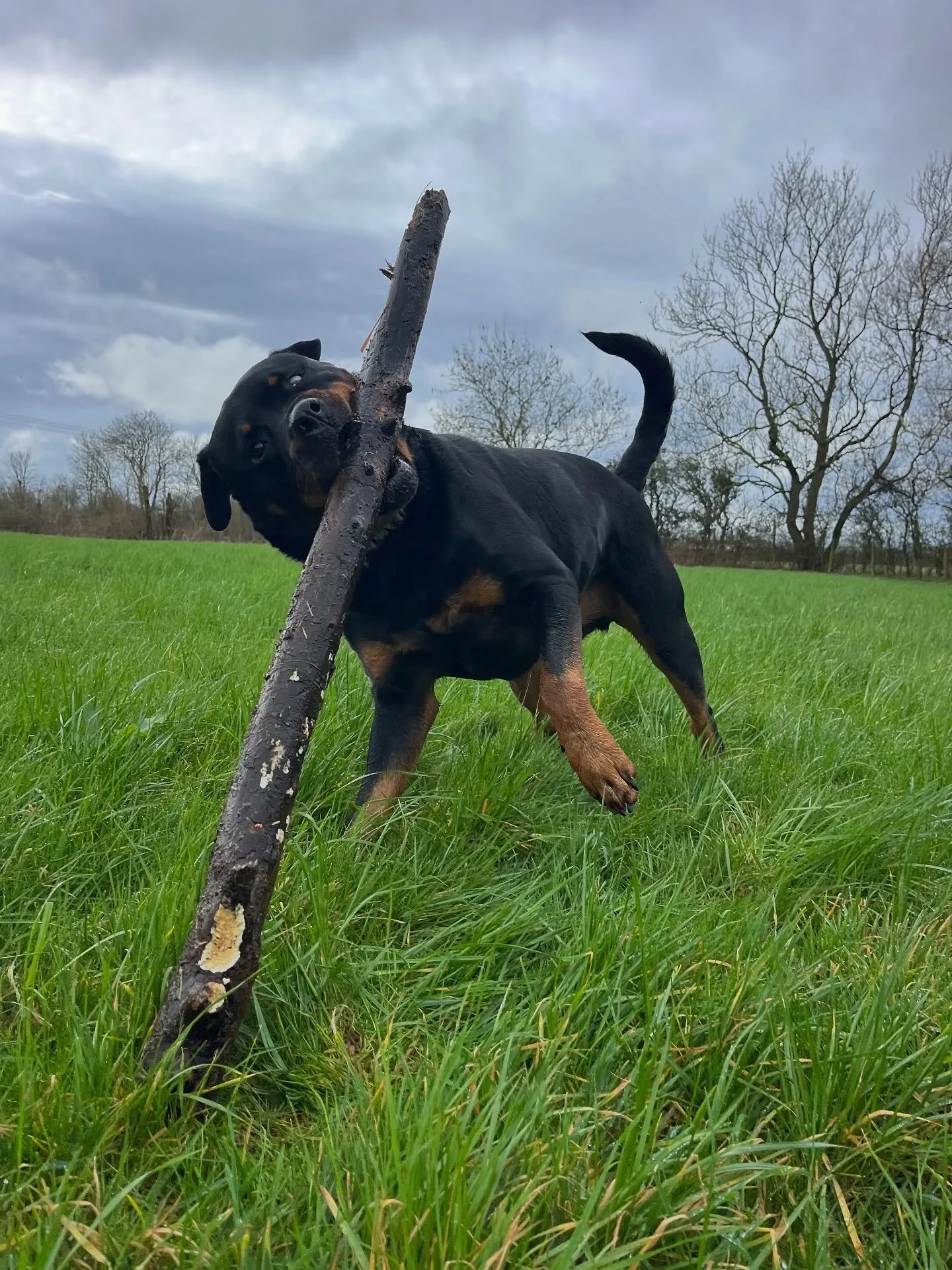 Big Ralph has finally been promoted to Branch Manager 👏🏻 Well deserved Ralph. 
#clevedondogsquad