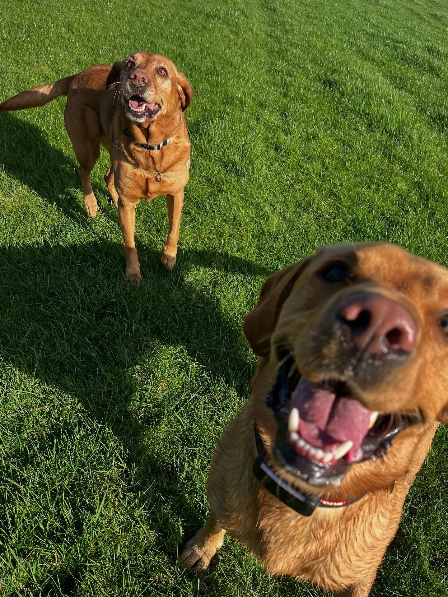 S A T U R D A Y ☀️ ☀️ ☀️