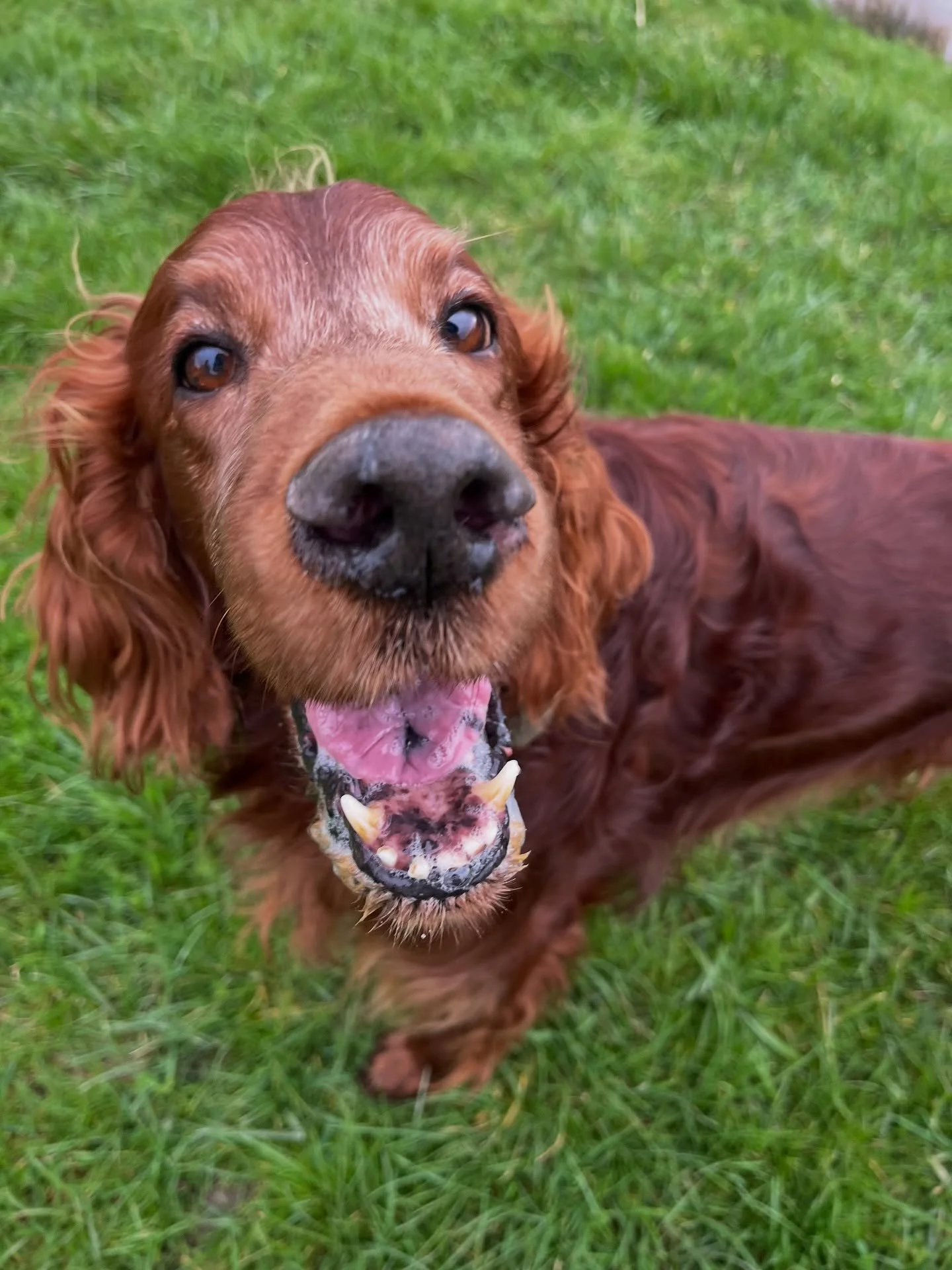 S U N D A Y &hearts;️ 🌷 ☀️