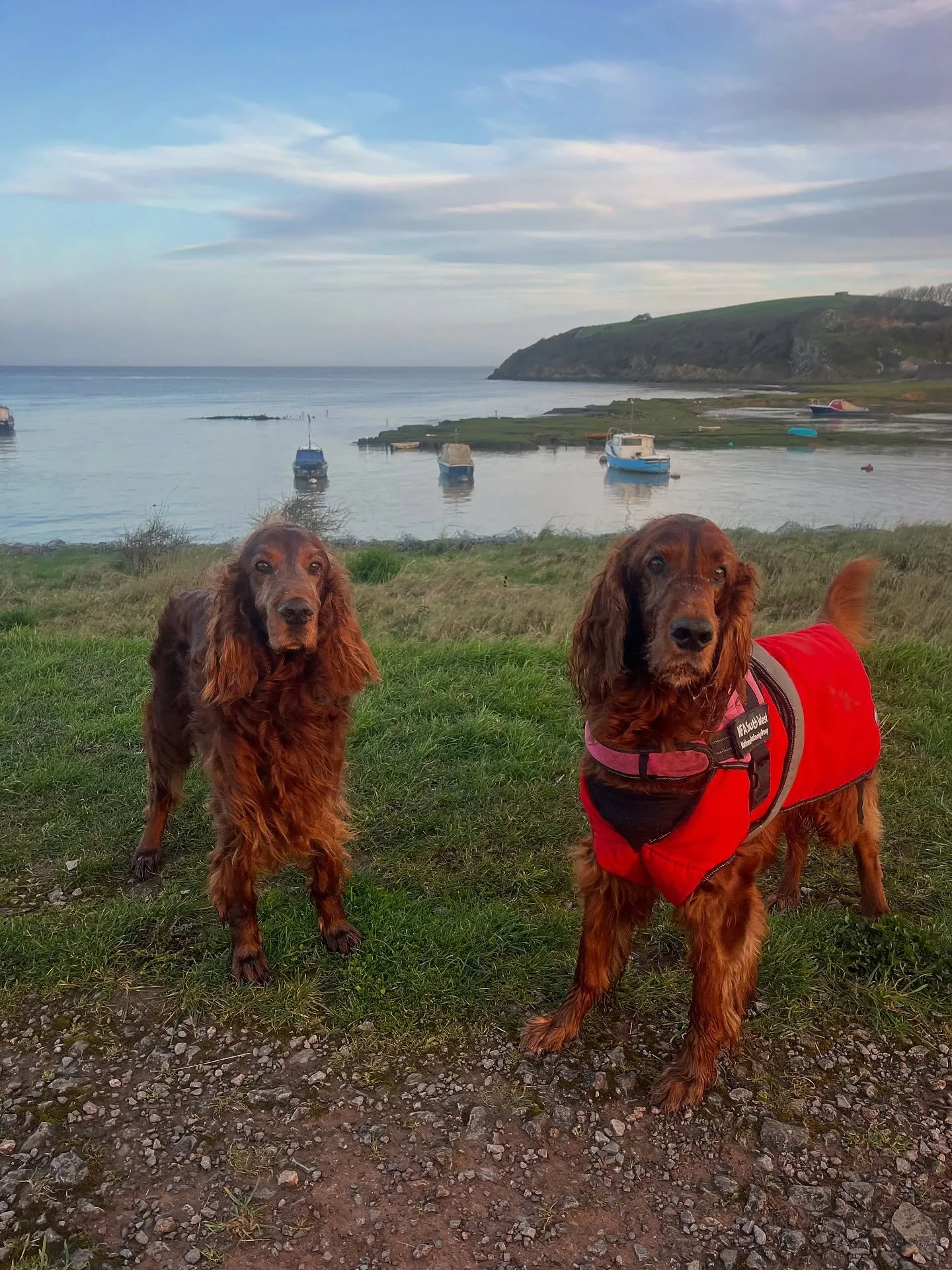 Feeling very blessed this morning to live here and do what I love every day. 

Good morning Clevedon ☀️ 

#clevedon #clevedondogwalker