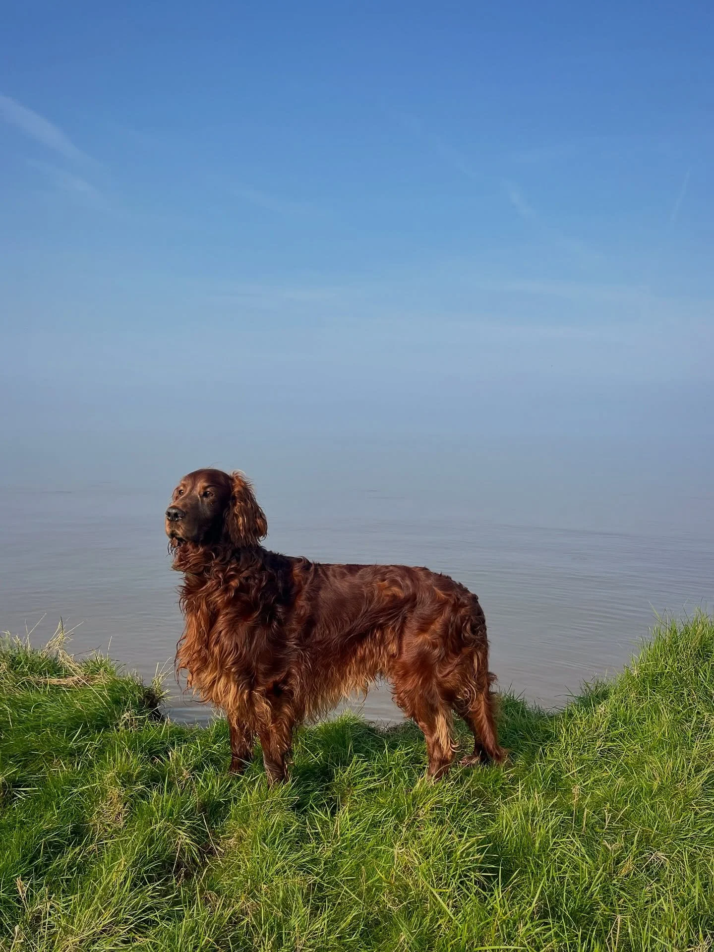 Clevedon in all its glory 

#clevedon