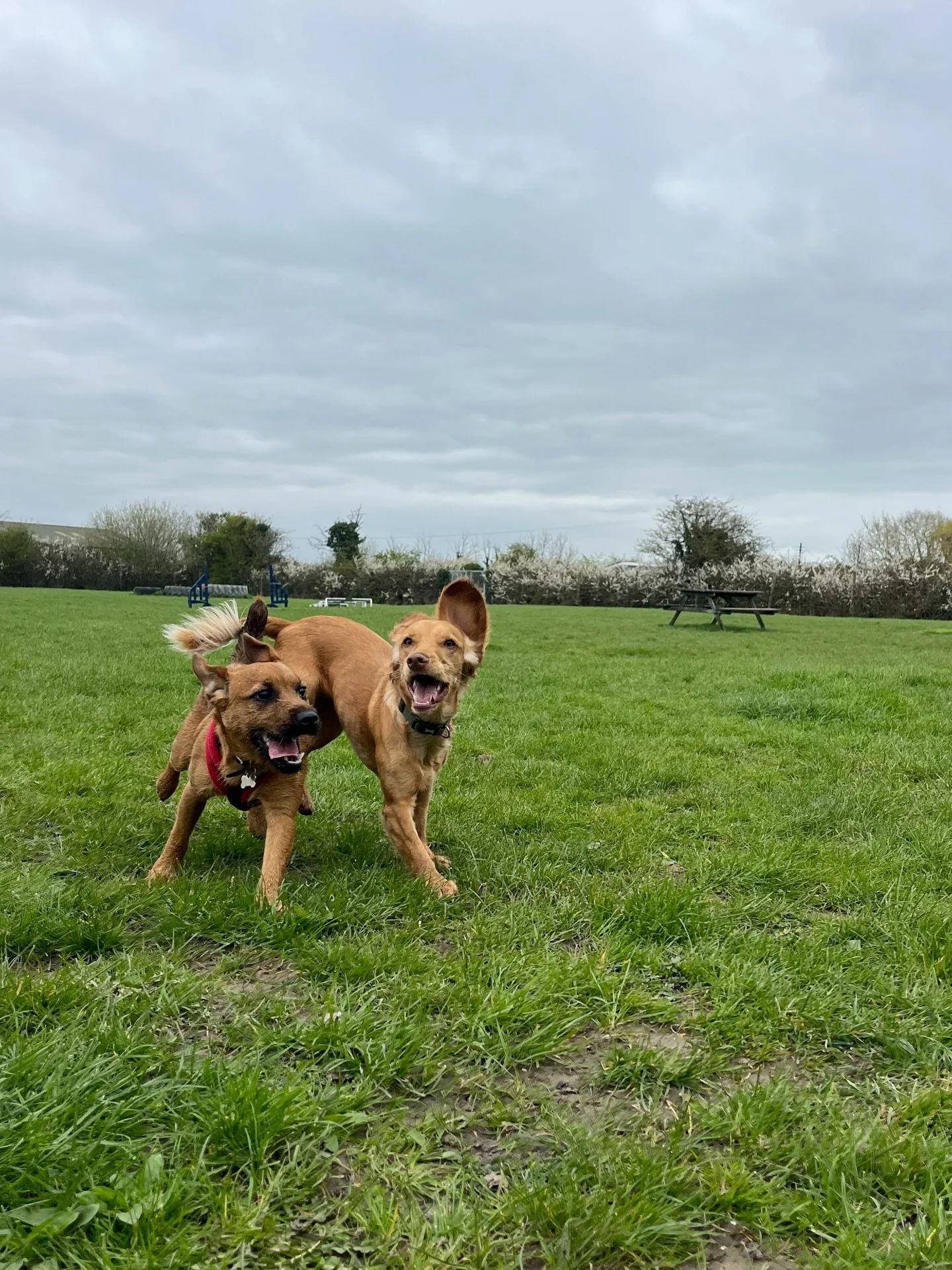 Weekly round up part two 😍