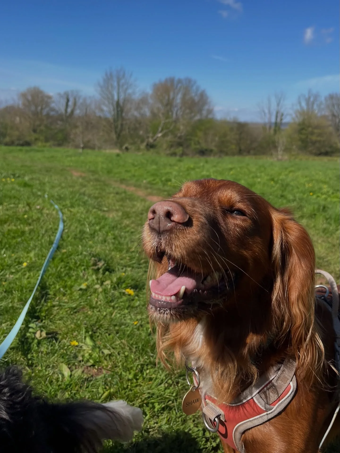 I&rsquo;ve been a little quieter on here as I&rsquo;m still not back to two complete hands but it&rsquo;s still been a busy, fun packed week! Couple of weekly round up posts of some of my favorite moments 🥰