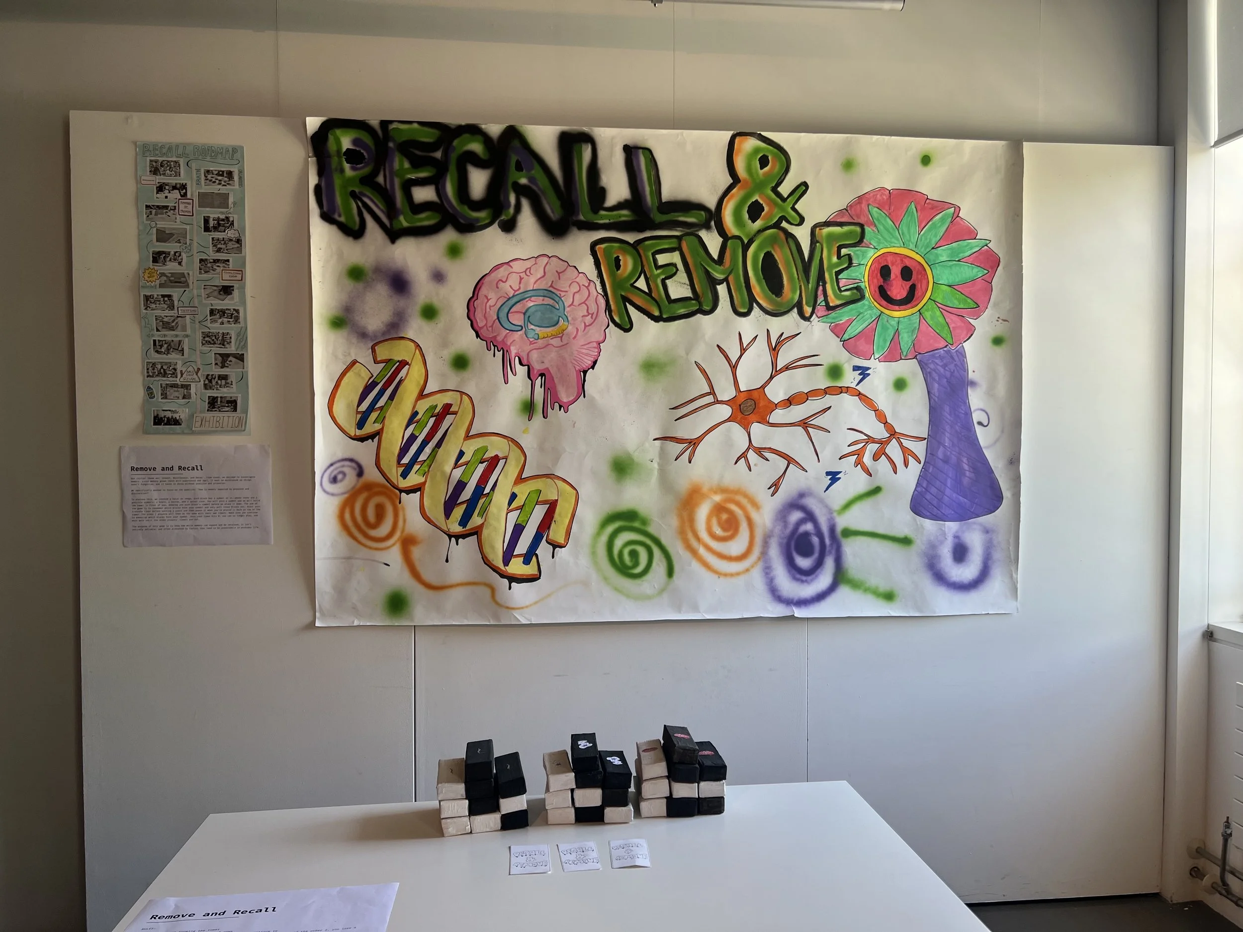 The set up of the Remove & Recall game.