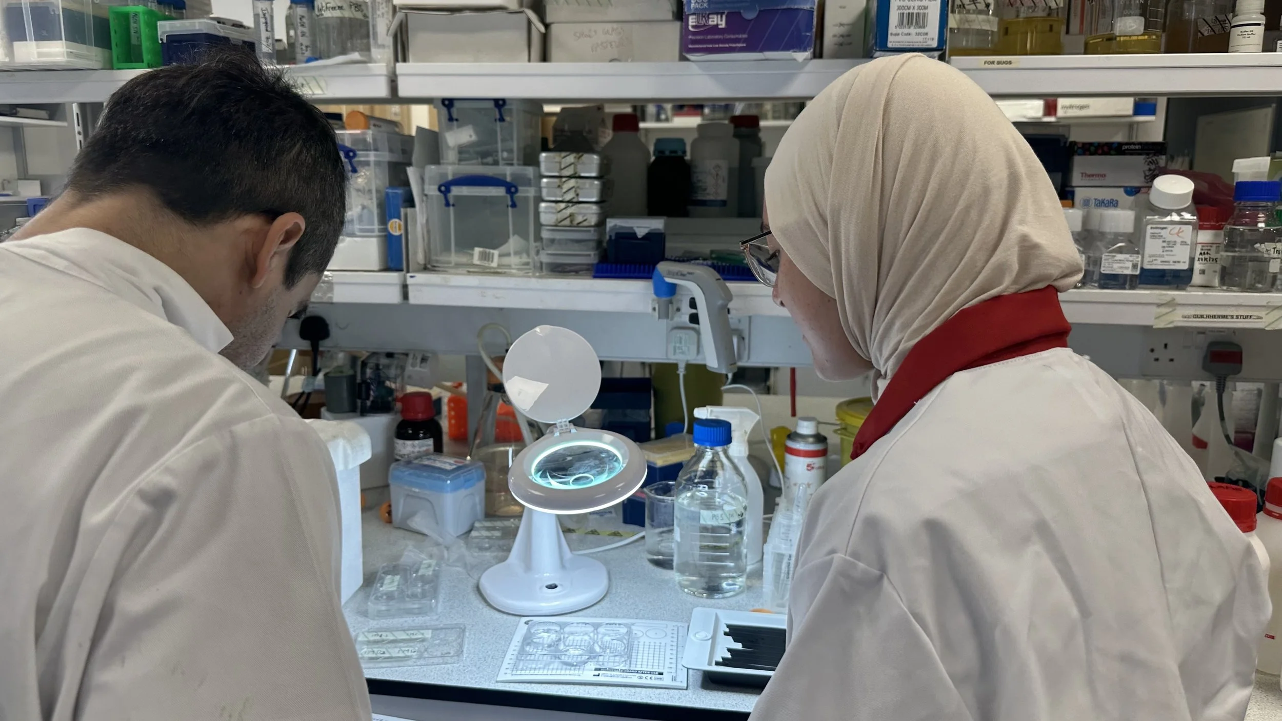 A DNA participant inspects a lab experiment.
