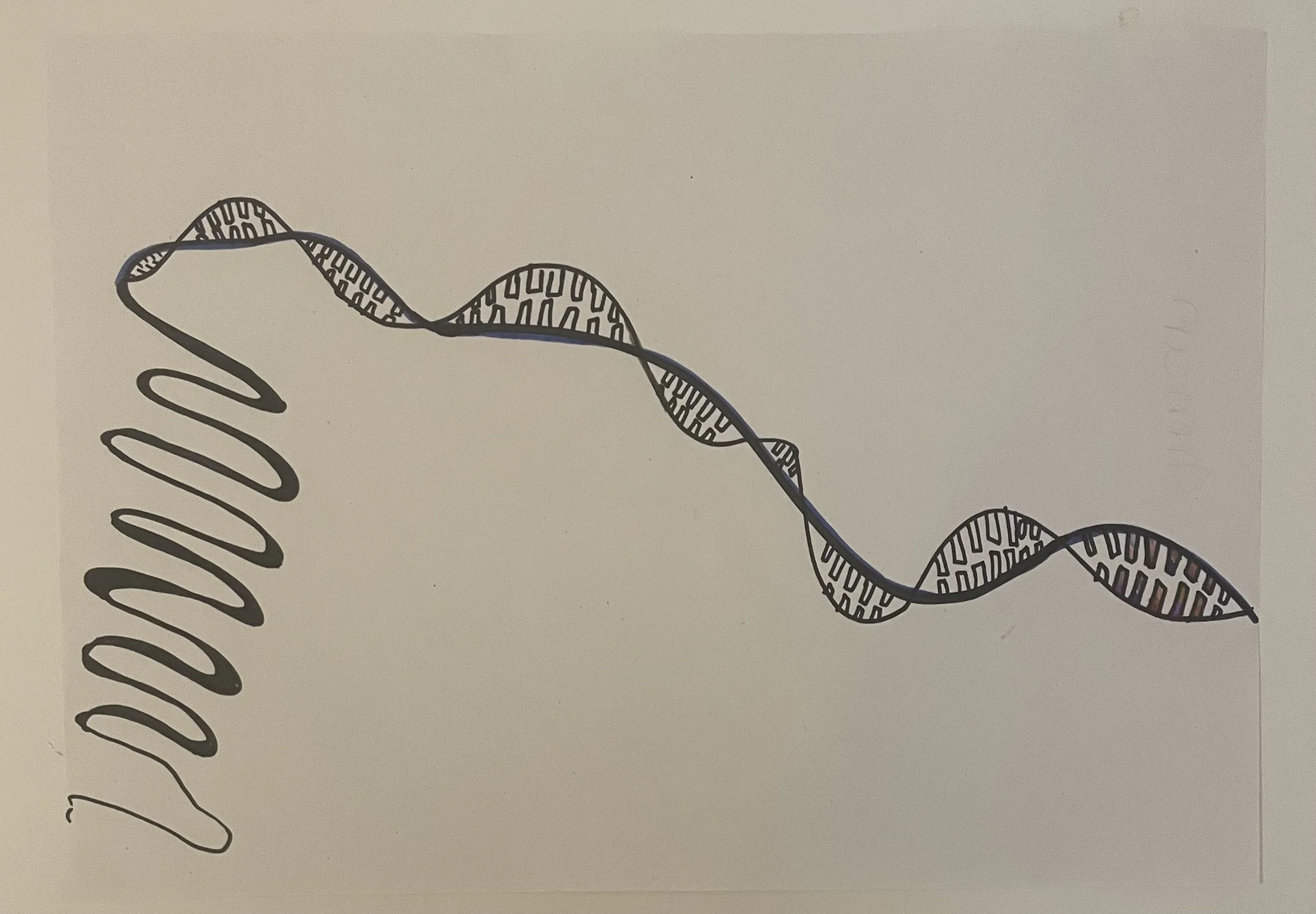 A swirling strand of DNA.
