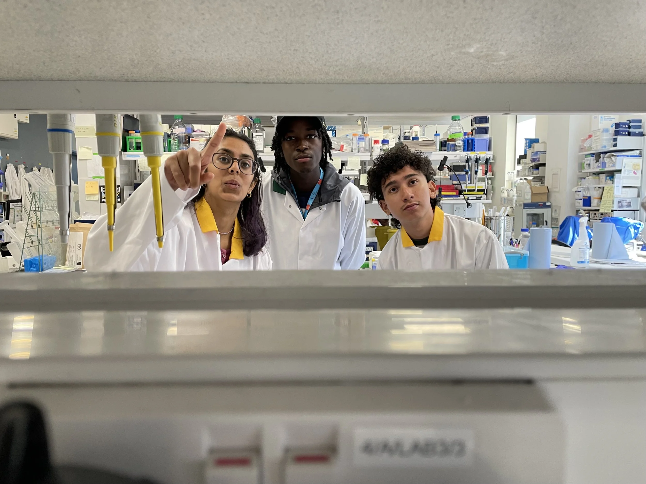 DNA Champions and interns look at an experiment.