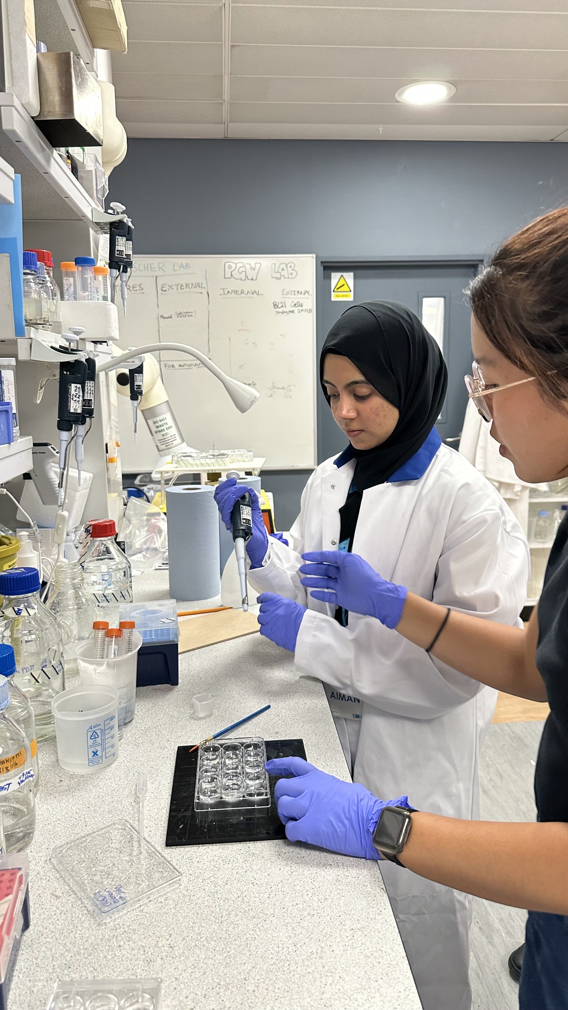 A participant engages in an experiment,