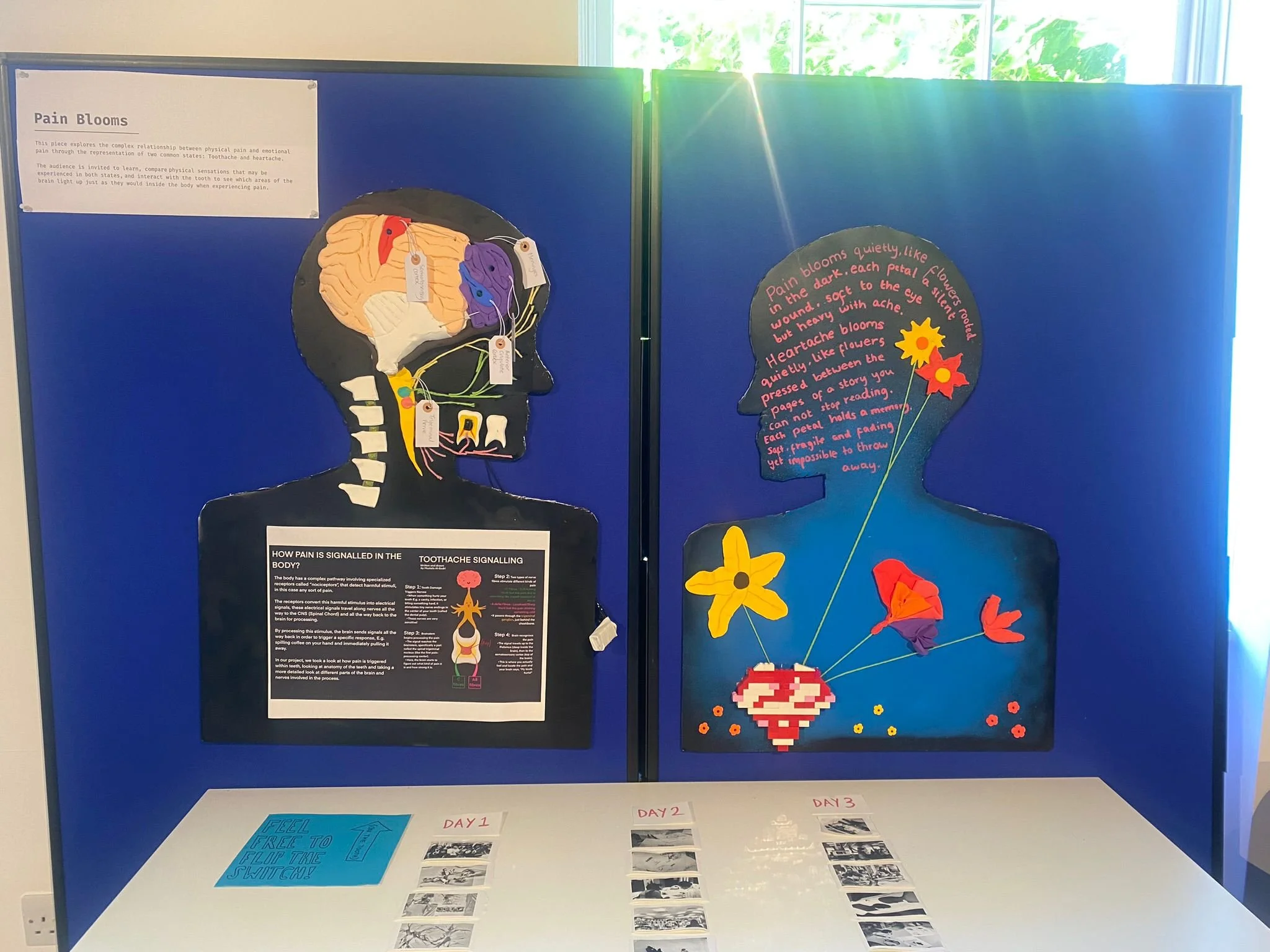 The Pain Blooms display. On the left: the outline of a head showing the wiring of a toothache, on the right an outline of a head with written text and flowers.