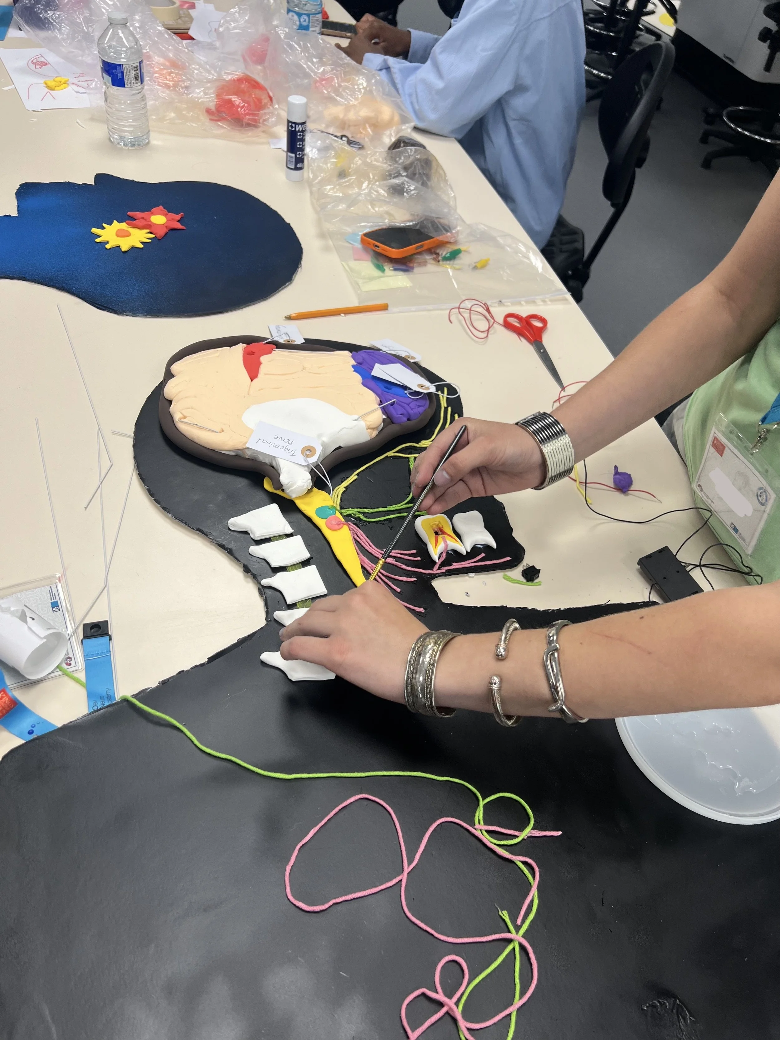 A DNA participant wires up a model of the human brain.