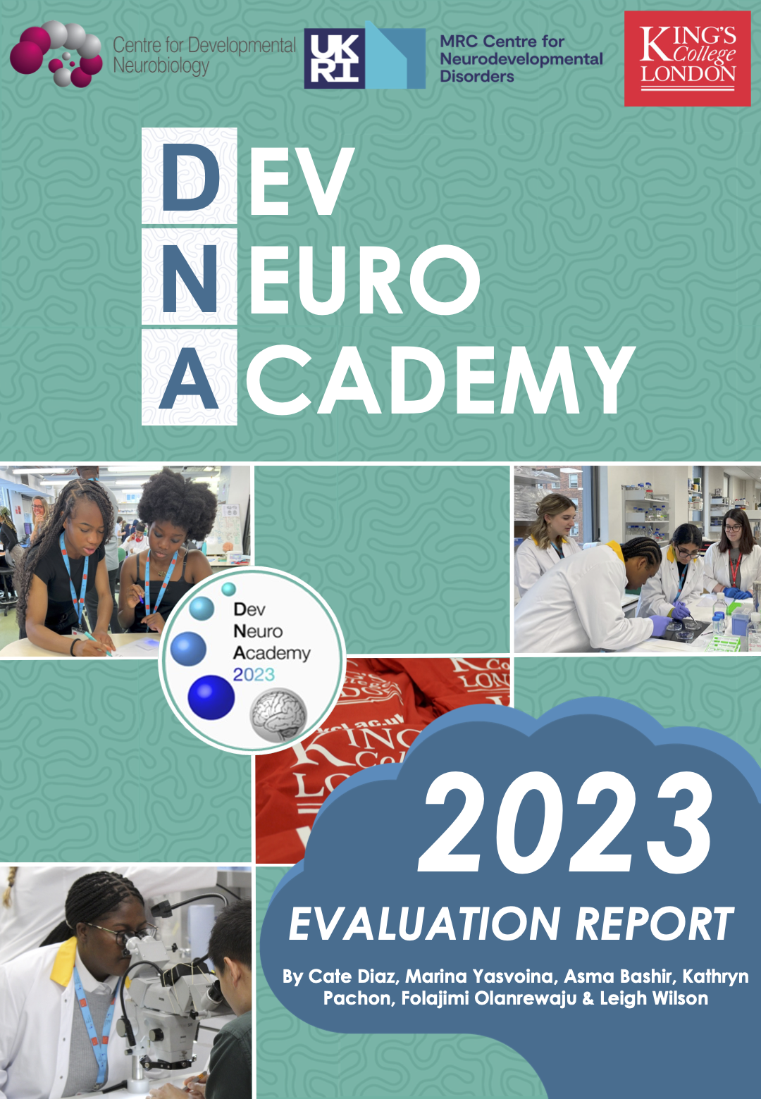 2023 Dev Neuro Academy Evaluation Report.png