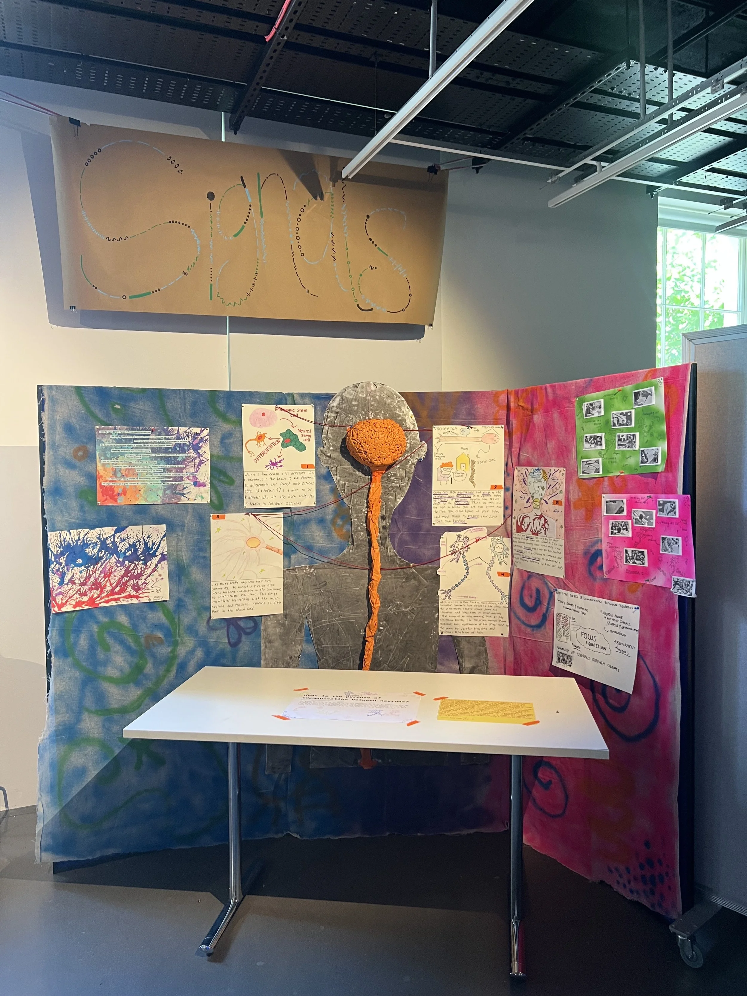 The installation of colourful boards with painted images, in the centre is an outline of a human head with an orange 3D brain and spinal chord.
