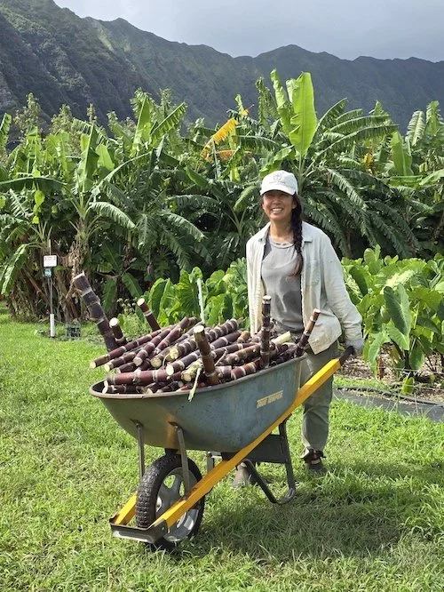 A woman in casual clothes, wearing a white cap and smiling, standing next to a wheelbarrow filled with harvested sugarcane in a banana plantation with lush green mountains in the background.