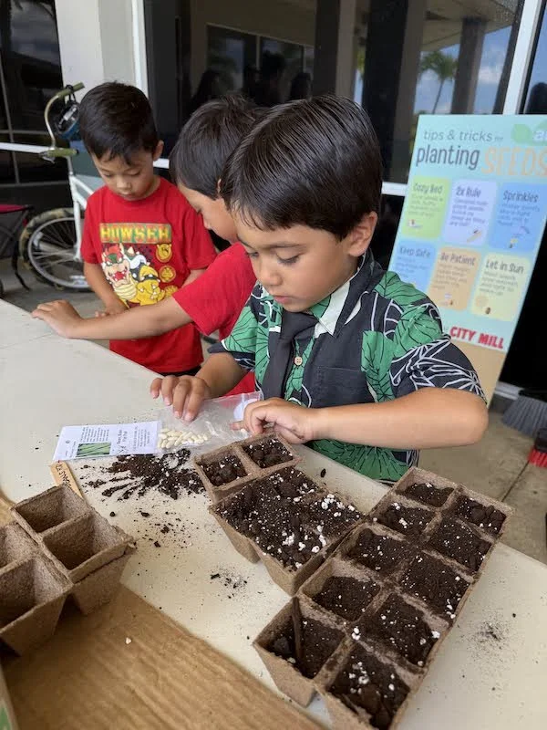 Three young boys planting seeds in small biodegradable pots at an outdoor table with a gardening tips poster in the background.