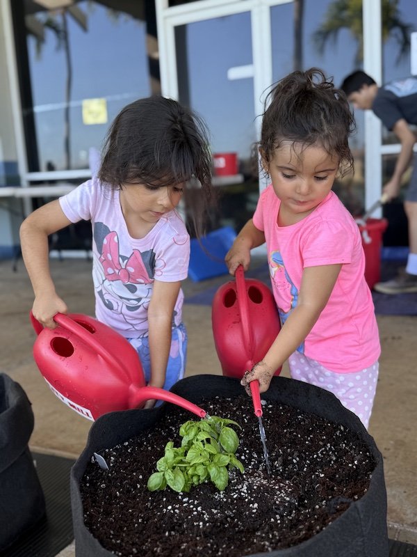 Two young girls watering a small plant in a garden or outdoor area, with a building and other people in the background.