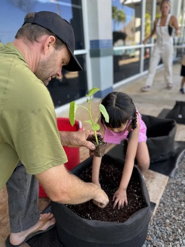 A man planting a young seedling into a large black fabric garden bed, with a young girl watching intently, outside a building with large glass windows.