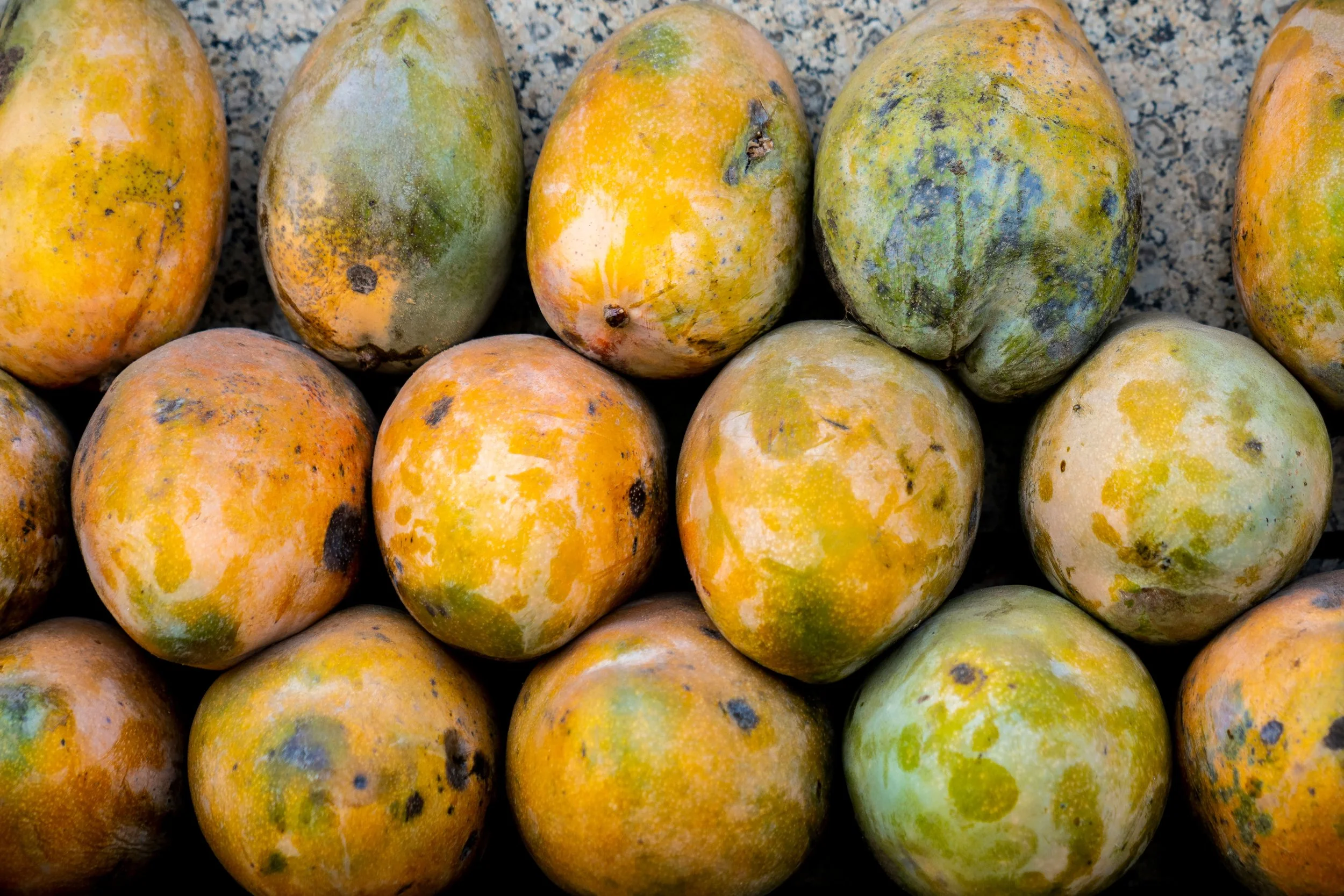 Close-up of moldy and rotting fruit, likely mangoes, with green, yellow, and orange discolored spots.