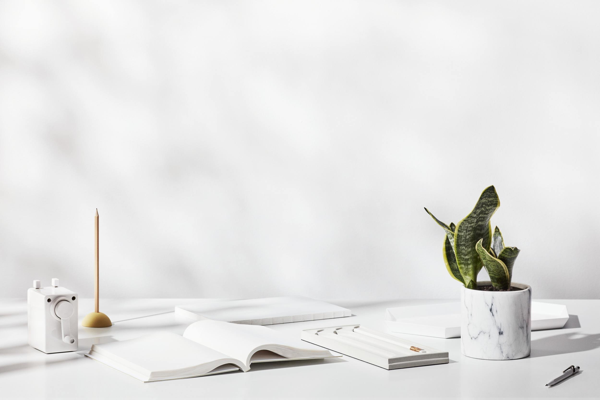 Minimalist white desk with books, a potted snake plant, a camera, a pencil, and a pen, against a plain wall.