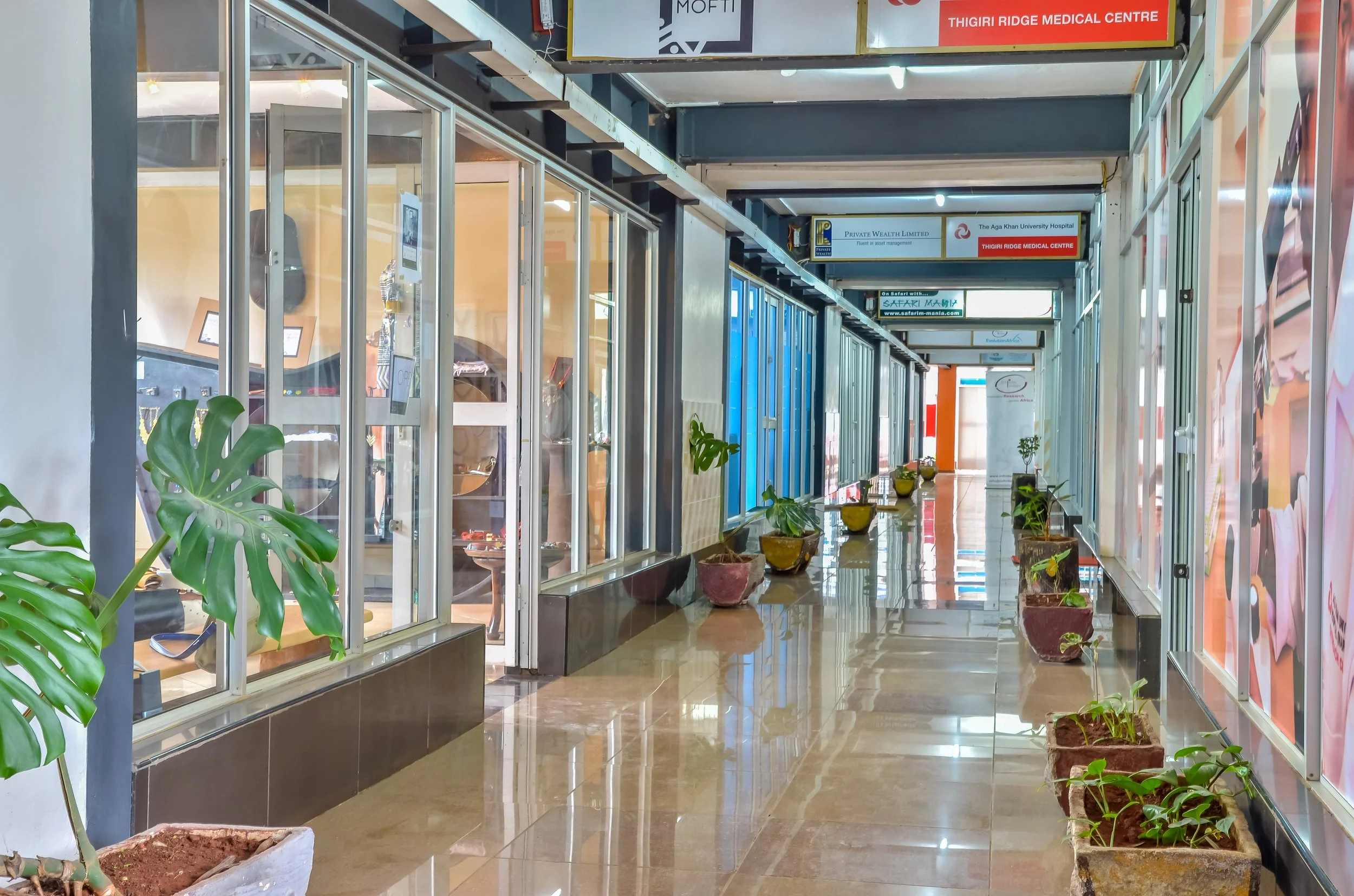 Empty corridor with glass-fronted offices on the left, potted plants along the right side, and signboards hanging from the ceiling.