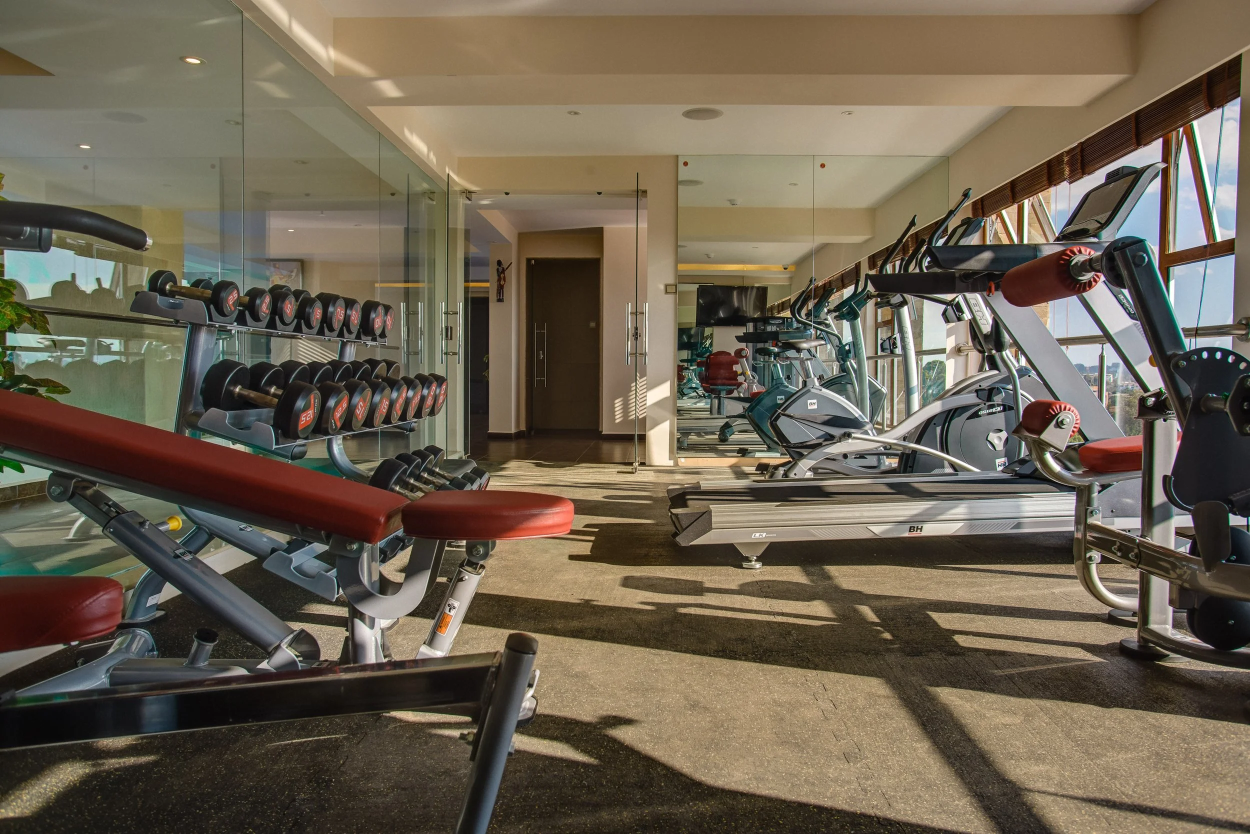 Empty gym with workout benches, dumbbells, ellipticals, and treadmills next to large windows.