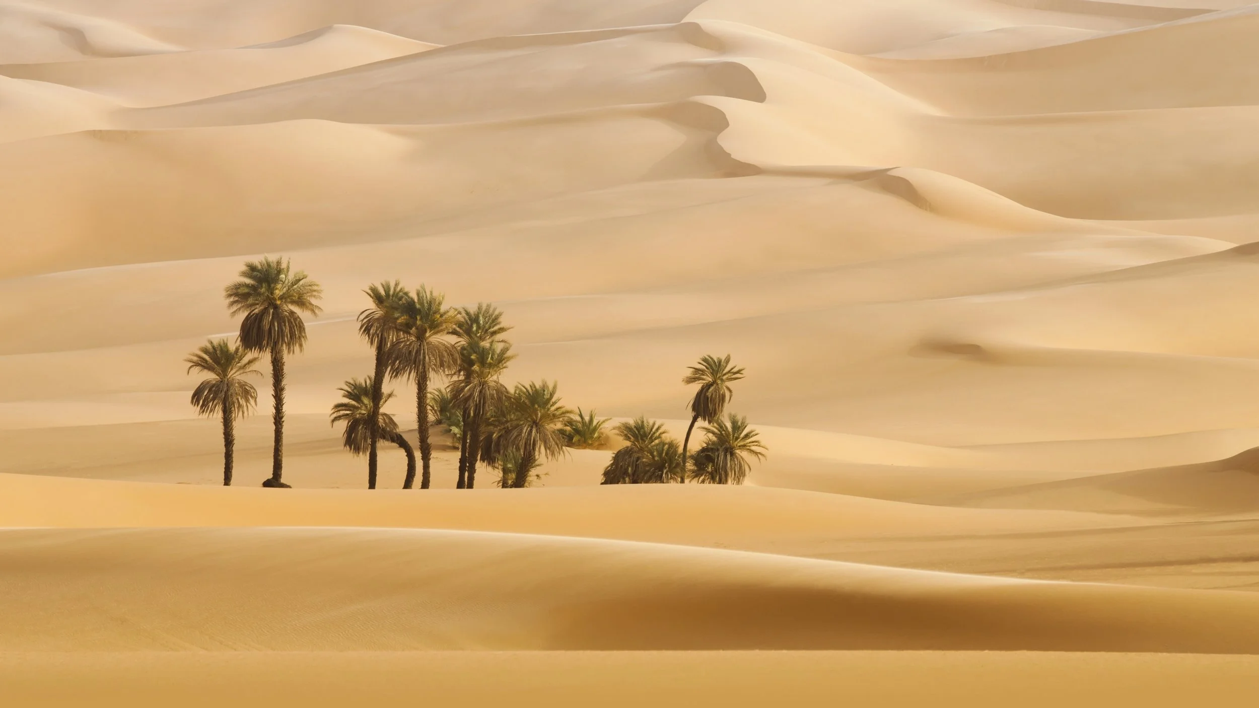 A desert landscape with rolling sand dunes and a small cluster of palm trees in the foreground.