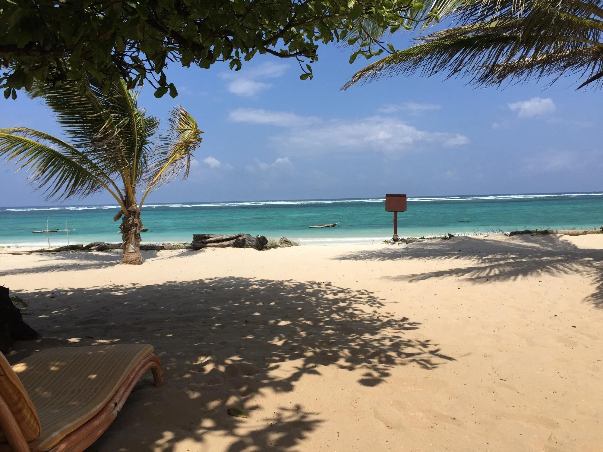 Tropical beach scene with palm trees, sandy shore, turquoise ocean, and blue sky with a few clouds.