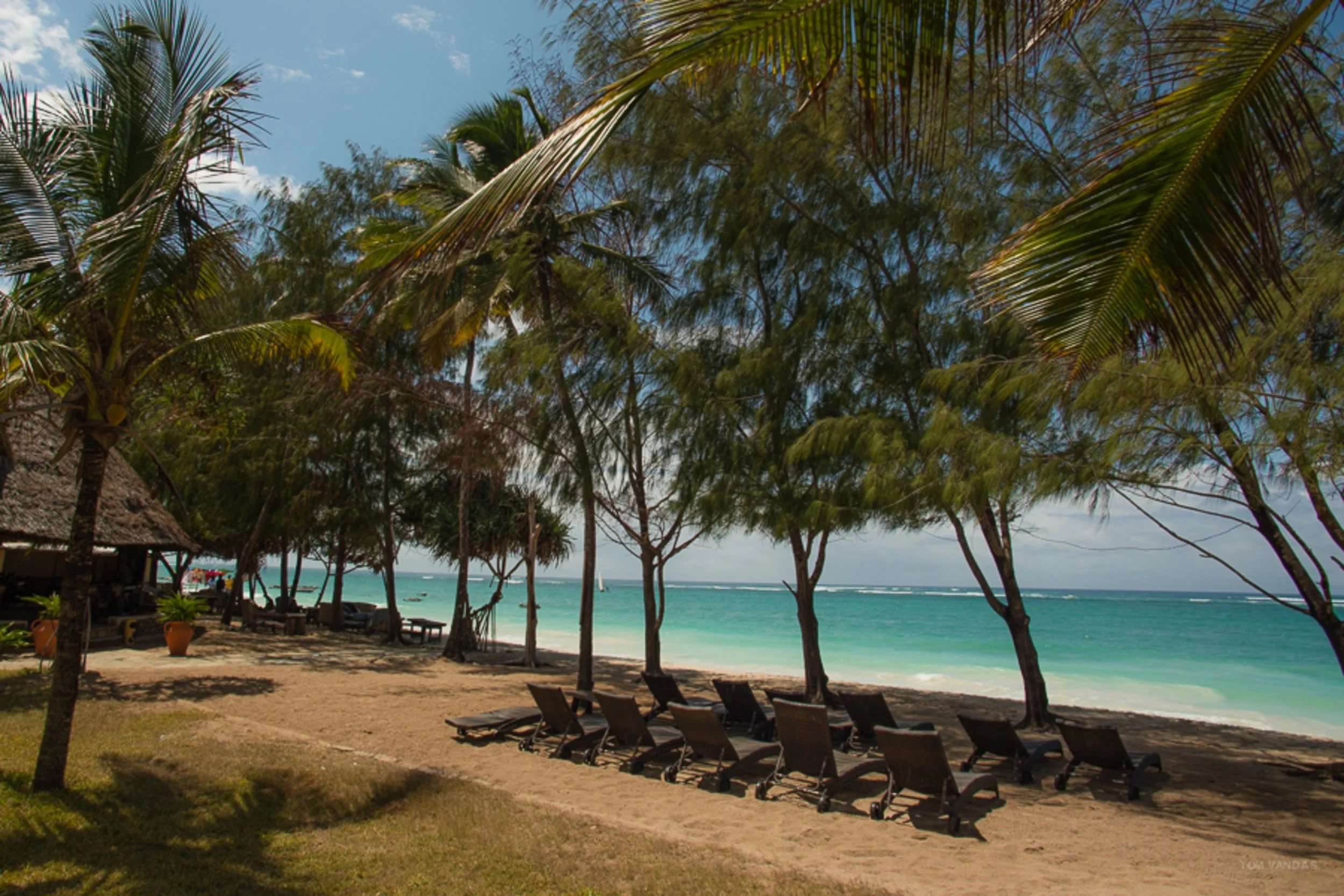Beach with lounge chairs, palm trees, and ocean view under a partly cloudy sky.