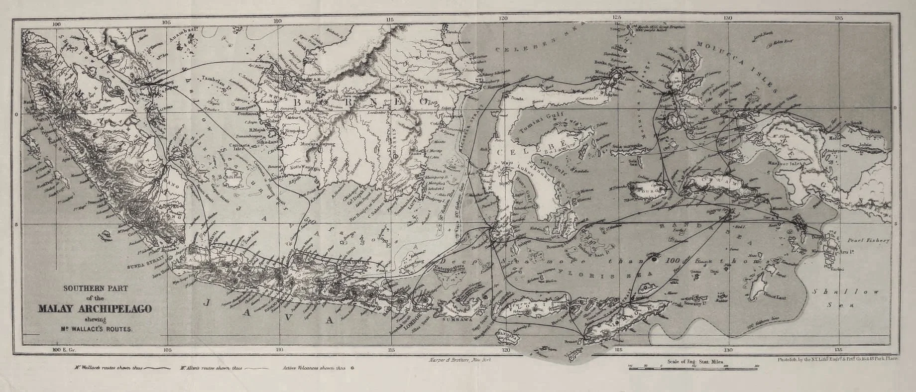 On the Endless Forms of Stories and the Diversity of Being