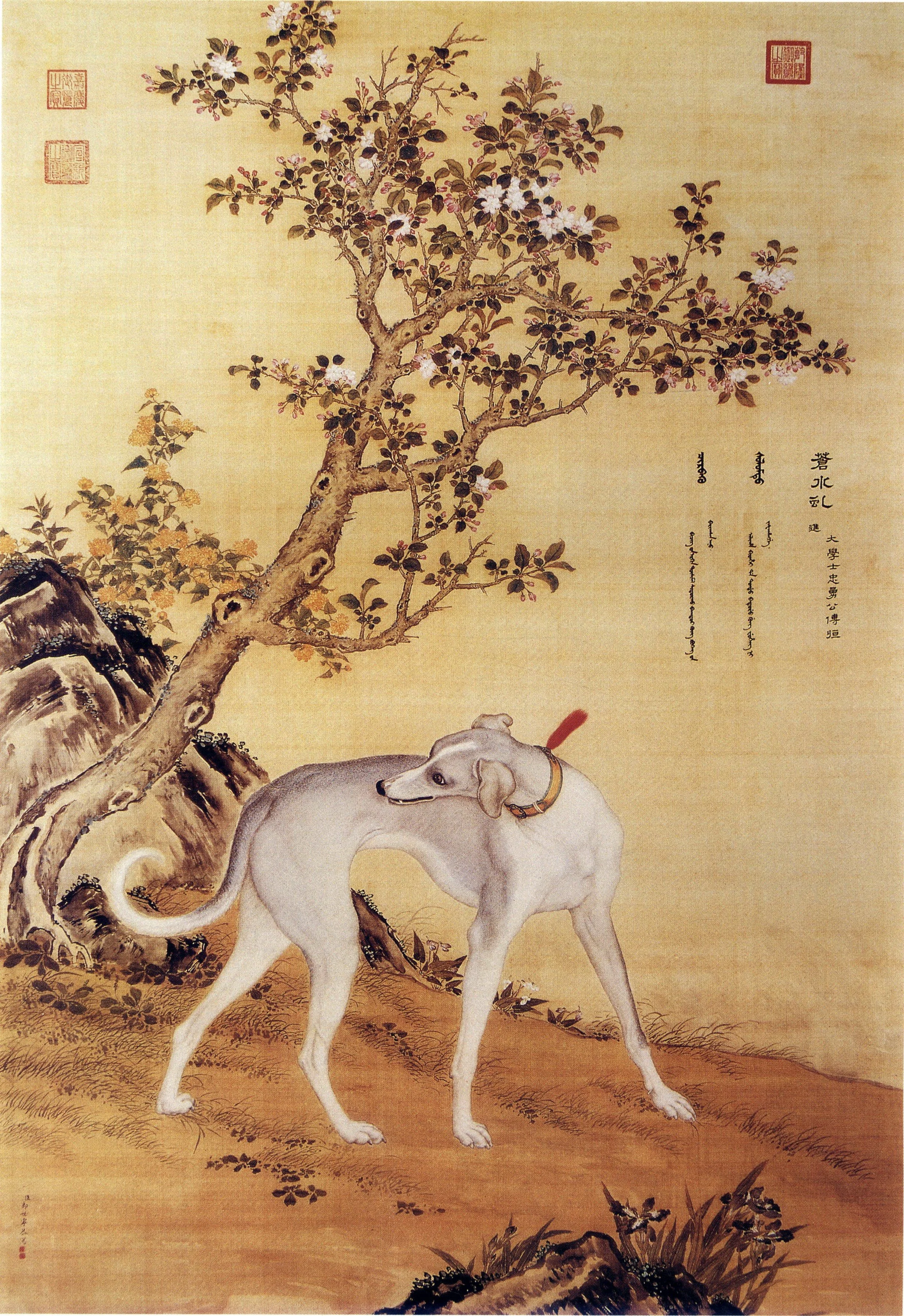 苍水虬