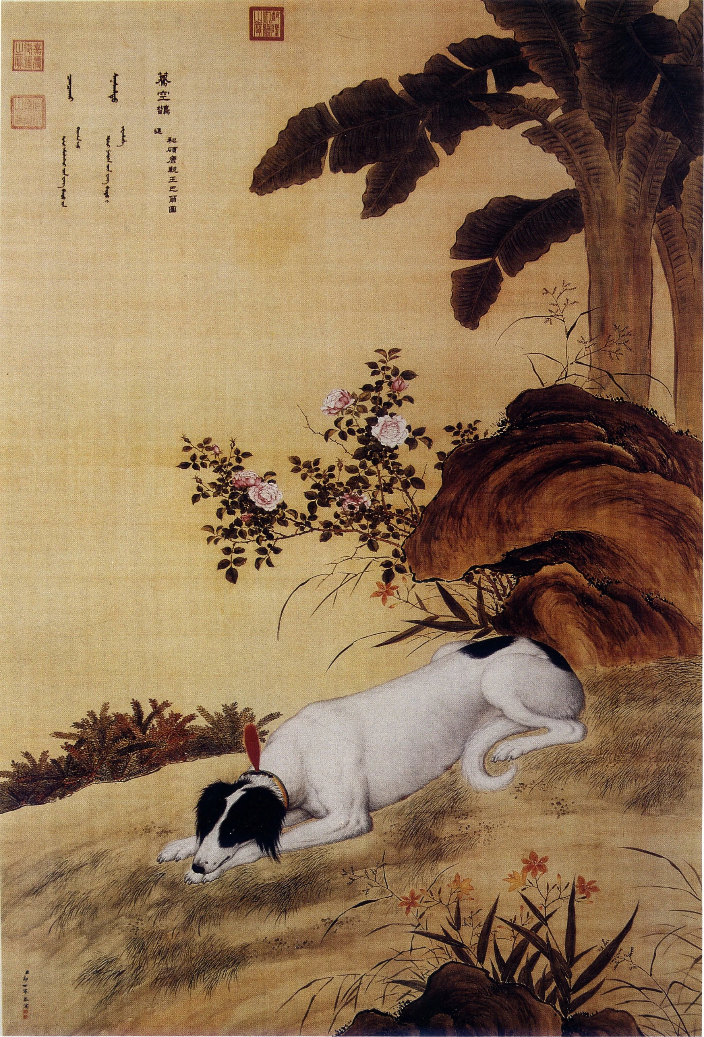 蓦空鹊
