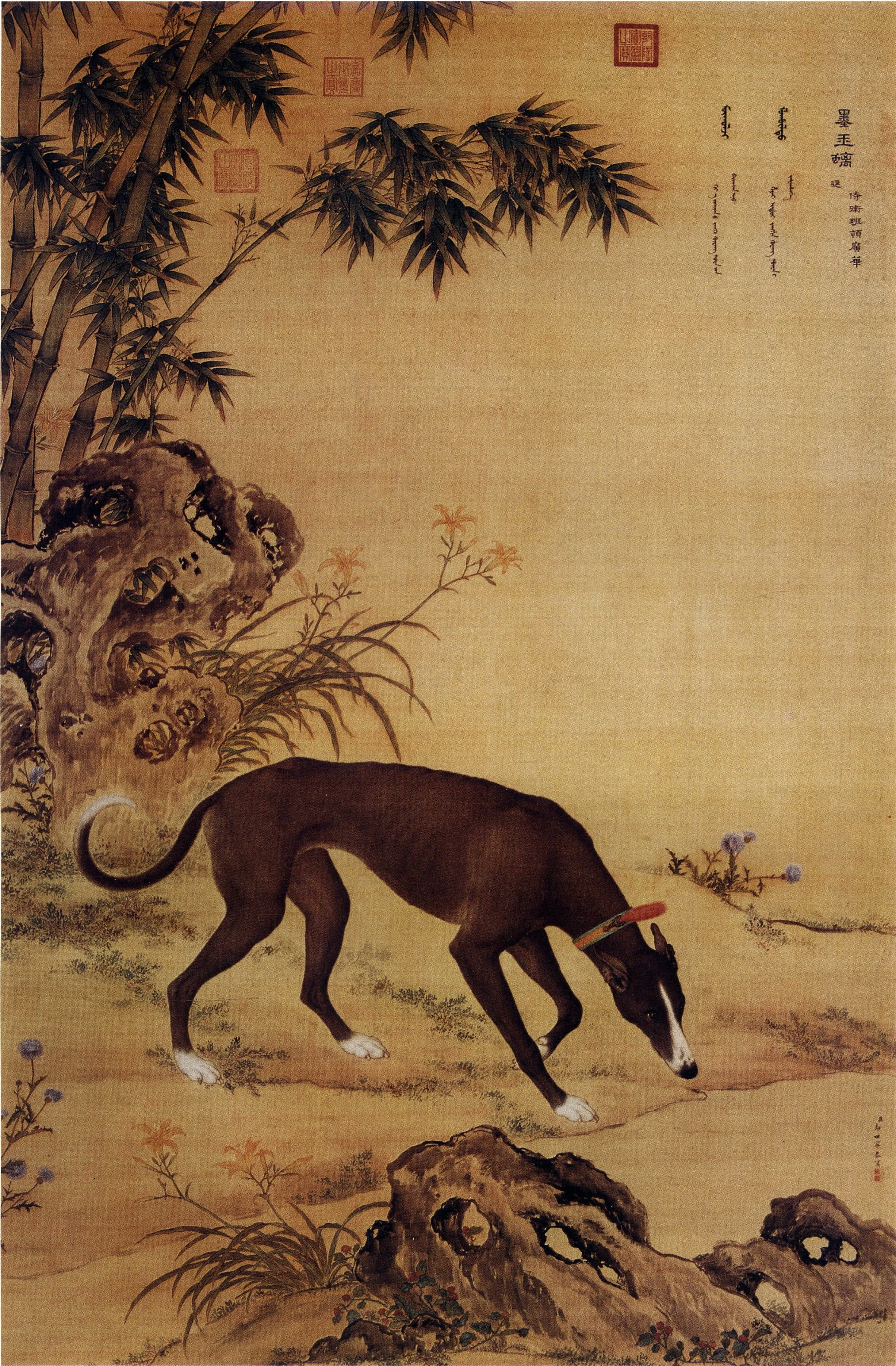 墨玉璃